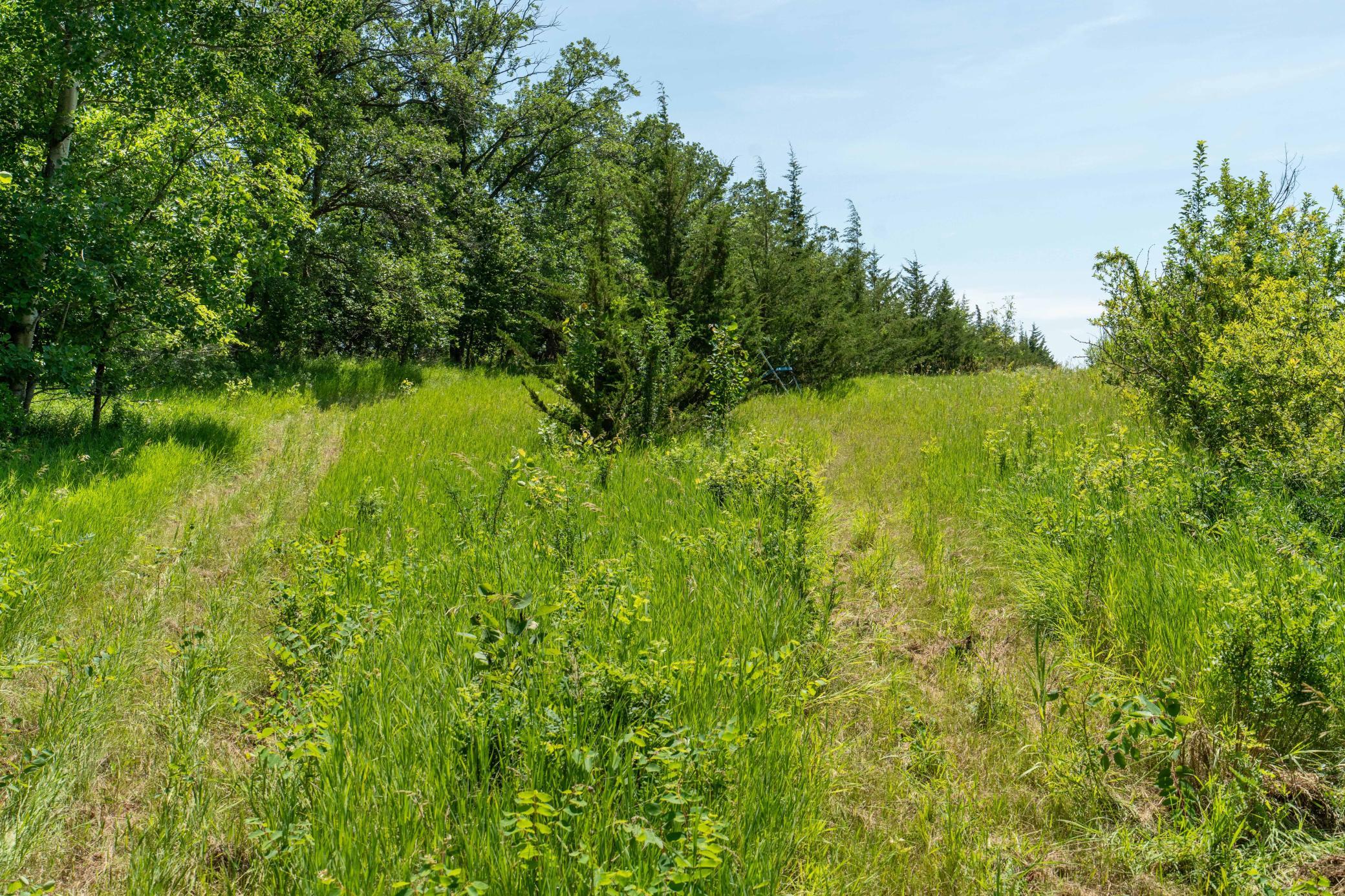main property photo 18