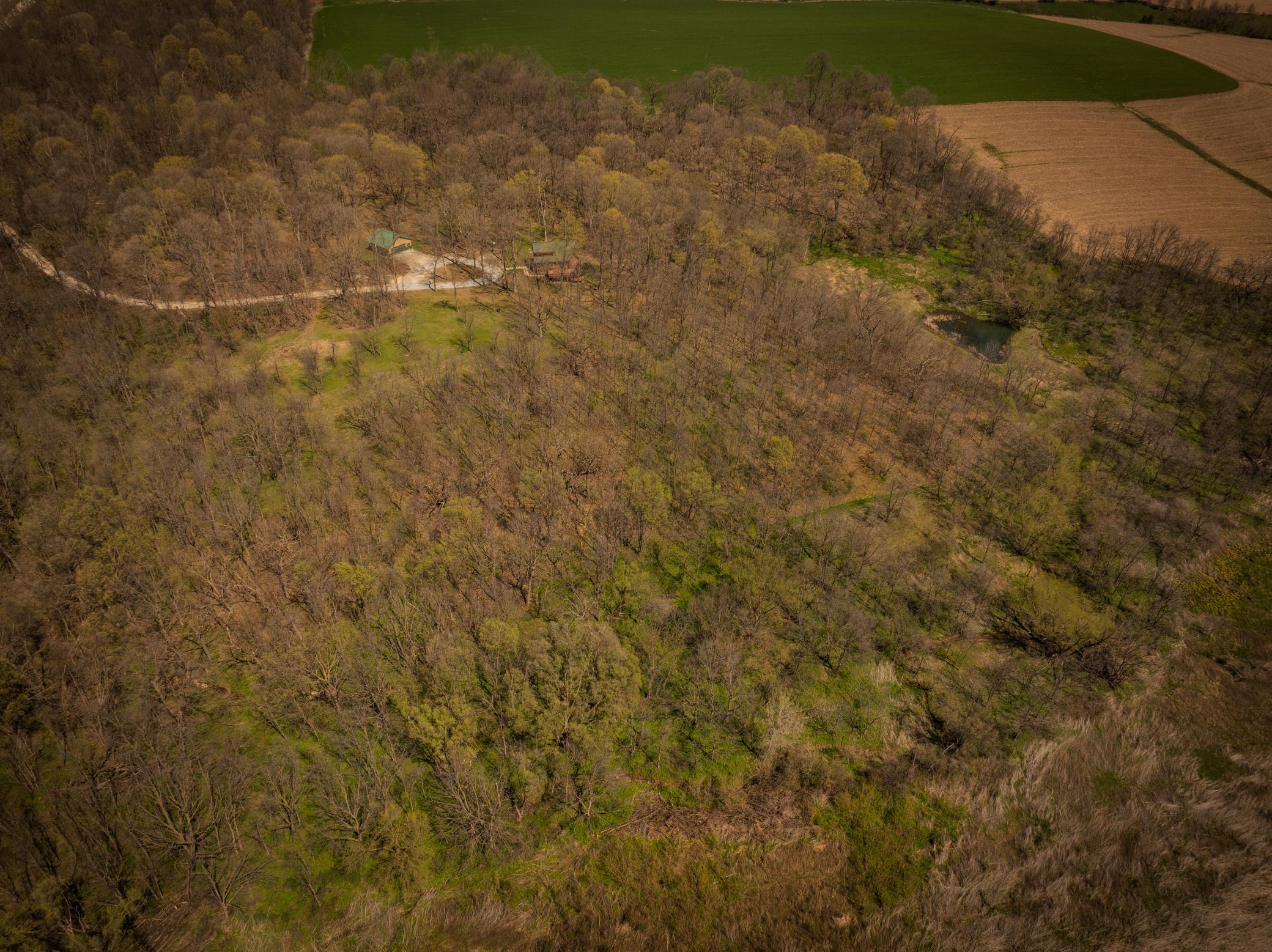 main property photo 42