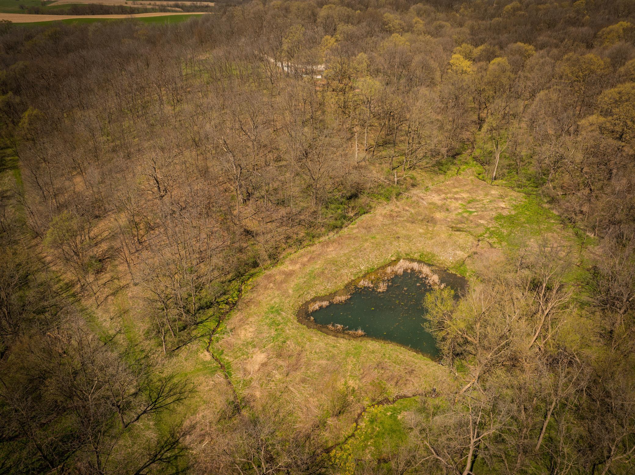 main property photo 48
