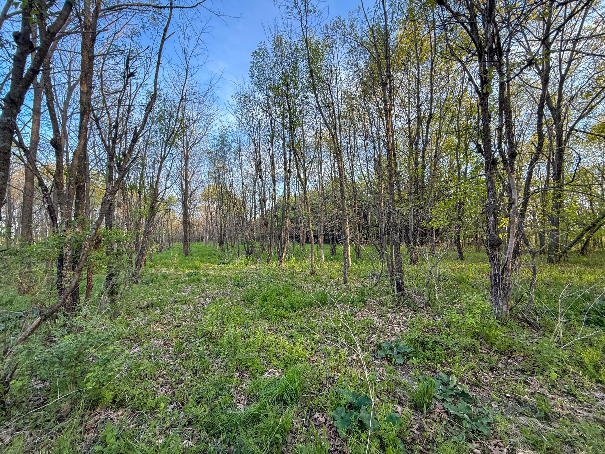 main property photo 100