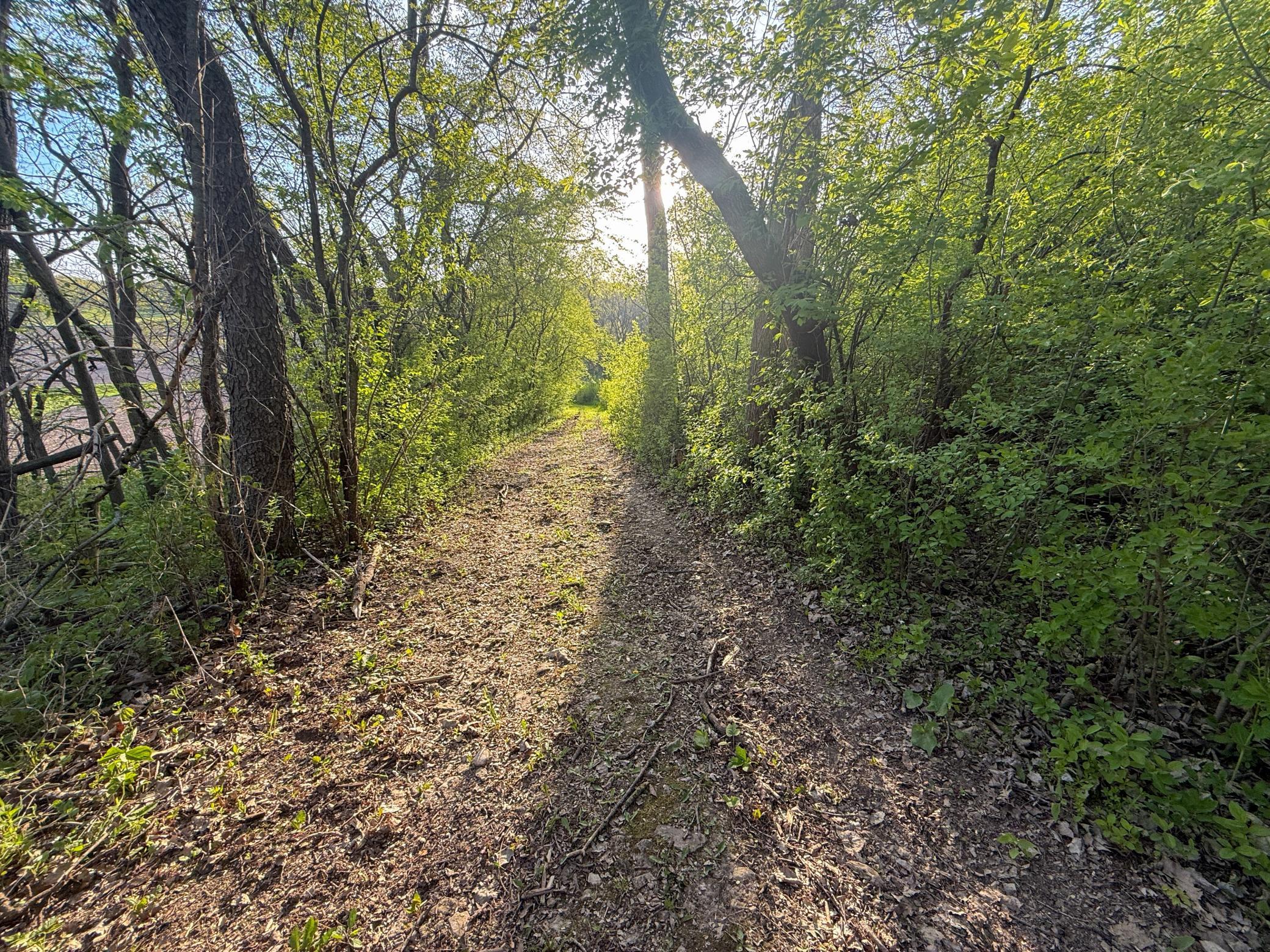 main property photo 77