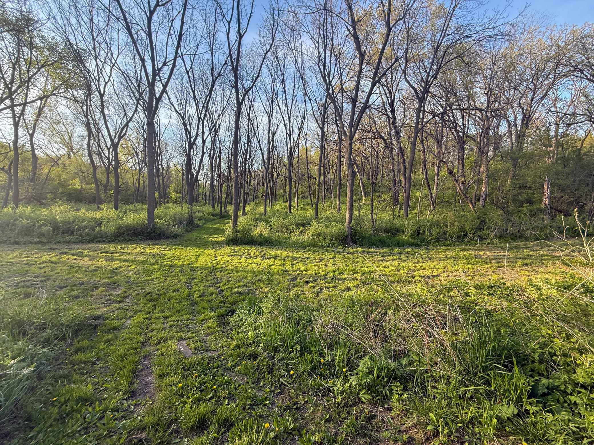 main property photo 78