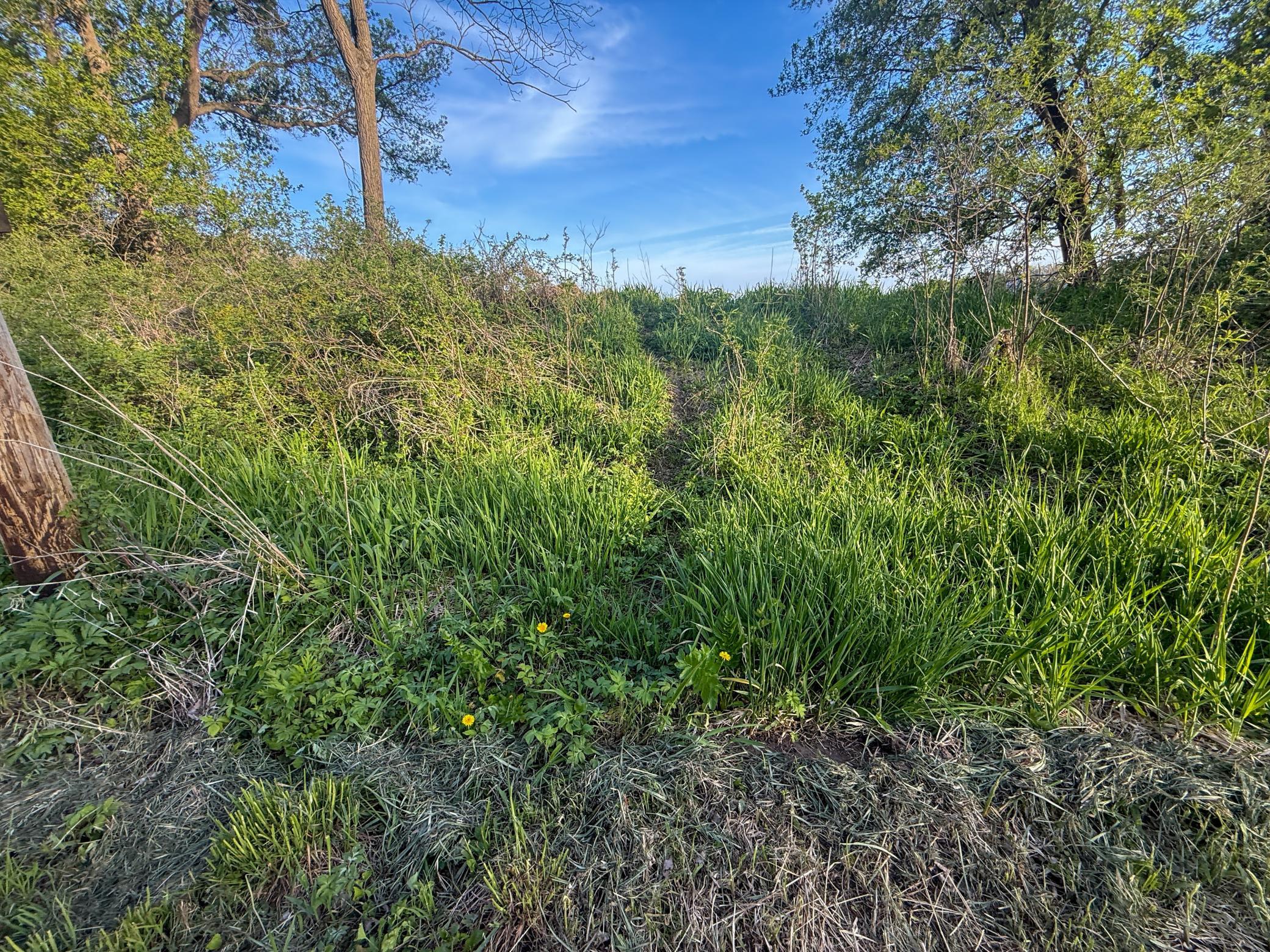 main property photo 79