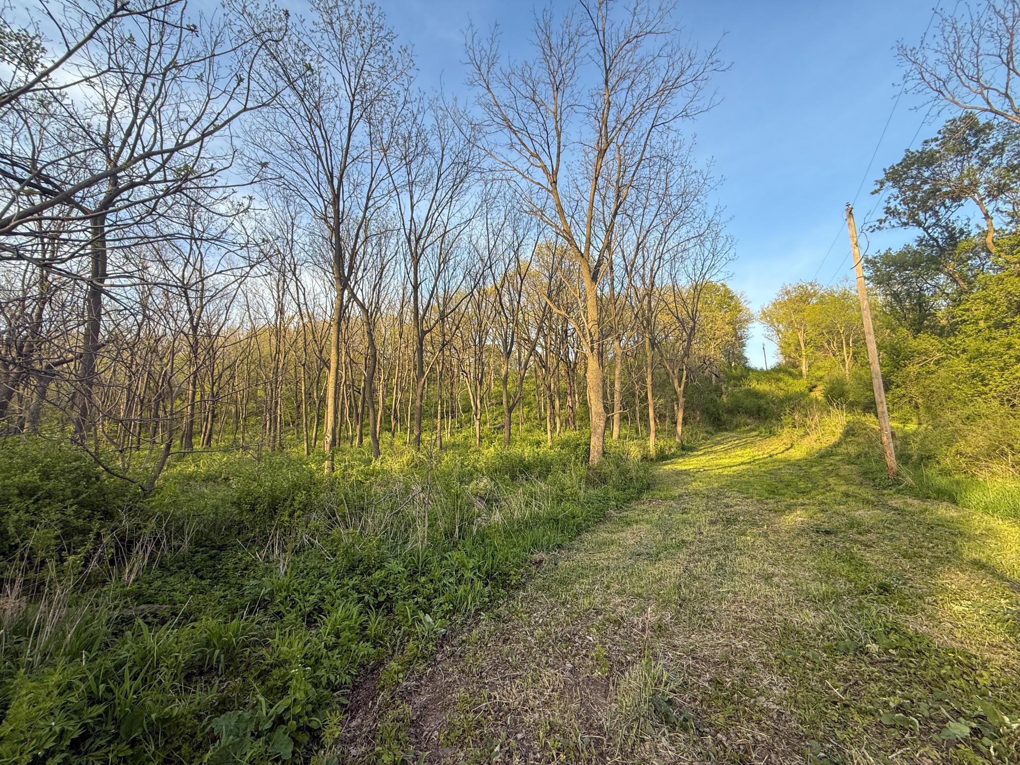 main property photo 80