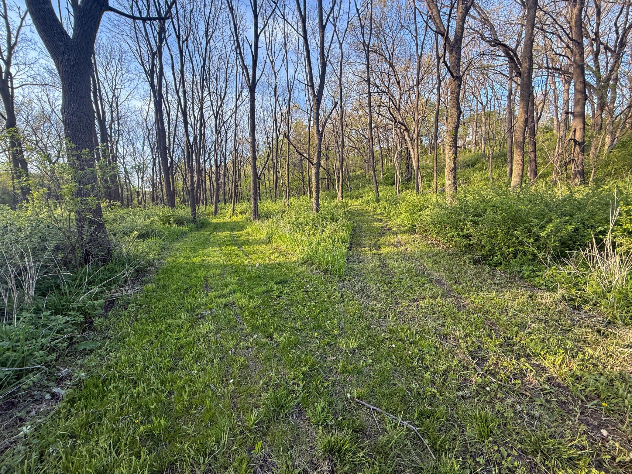 main property photo 81