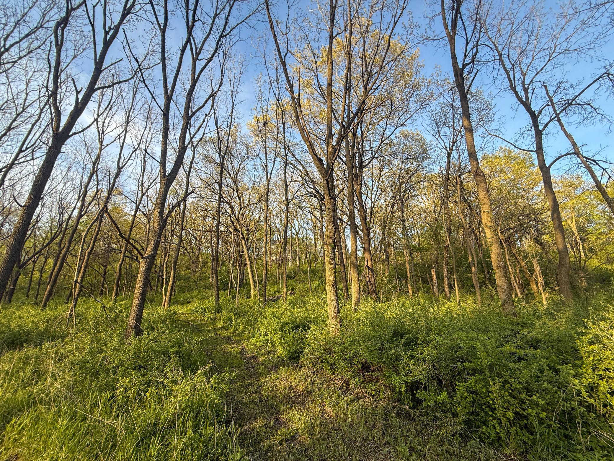 main property photo 82