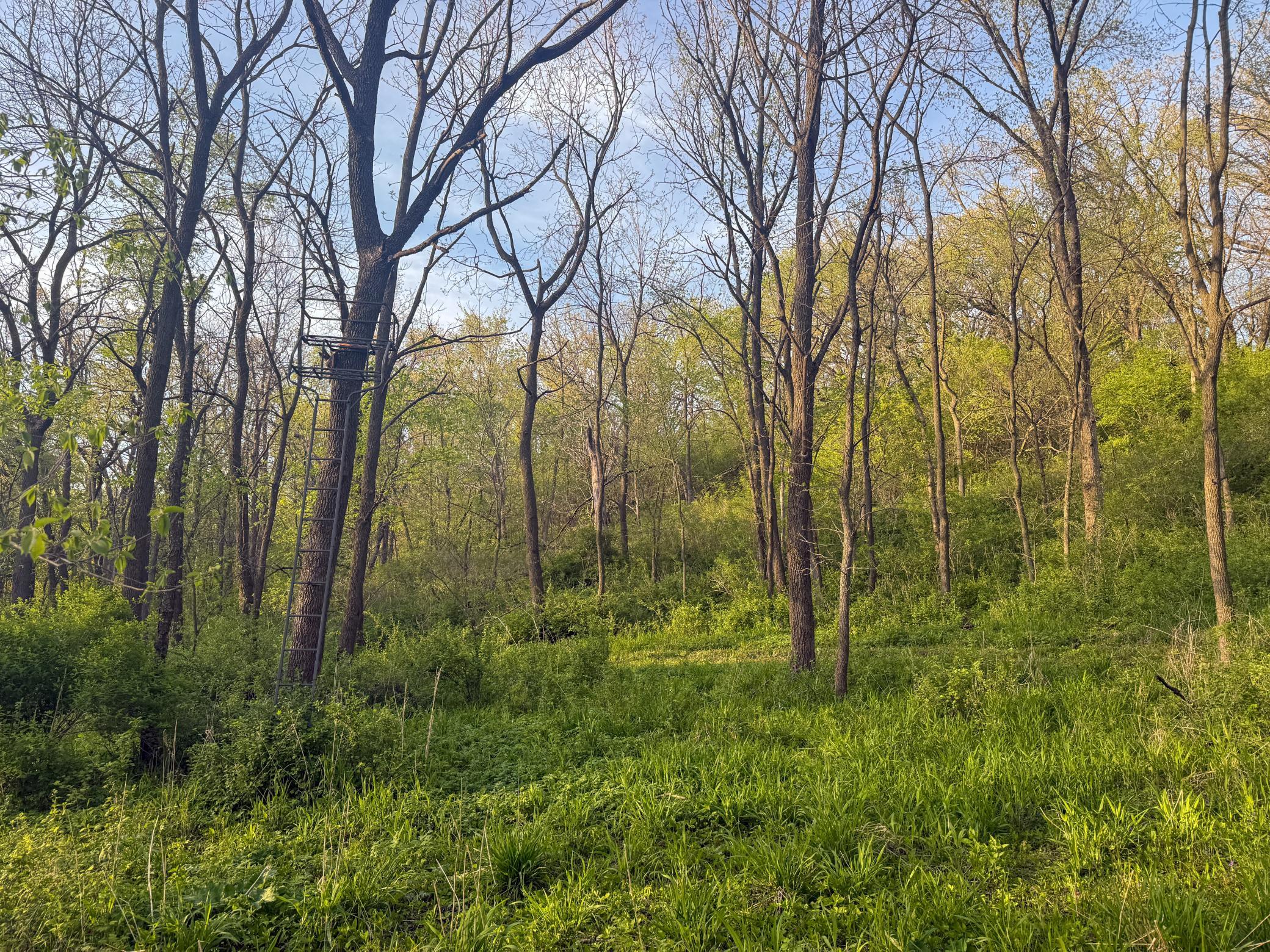 main property photo 83