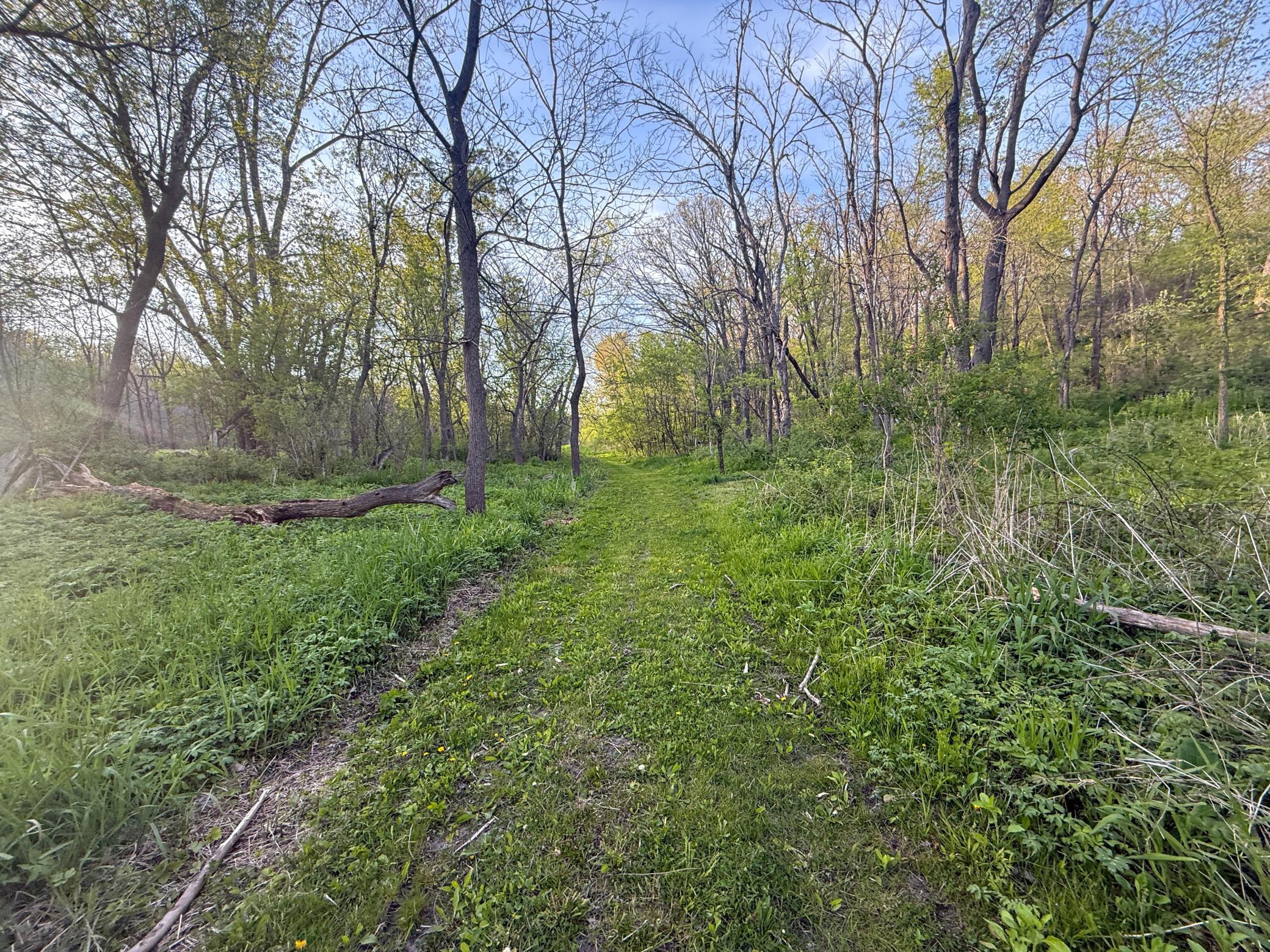main property photo 84