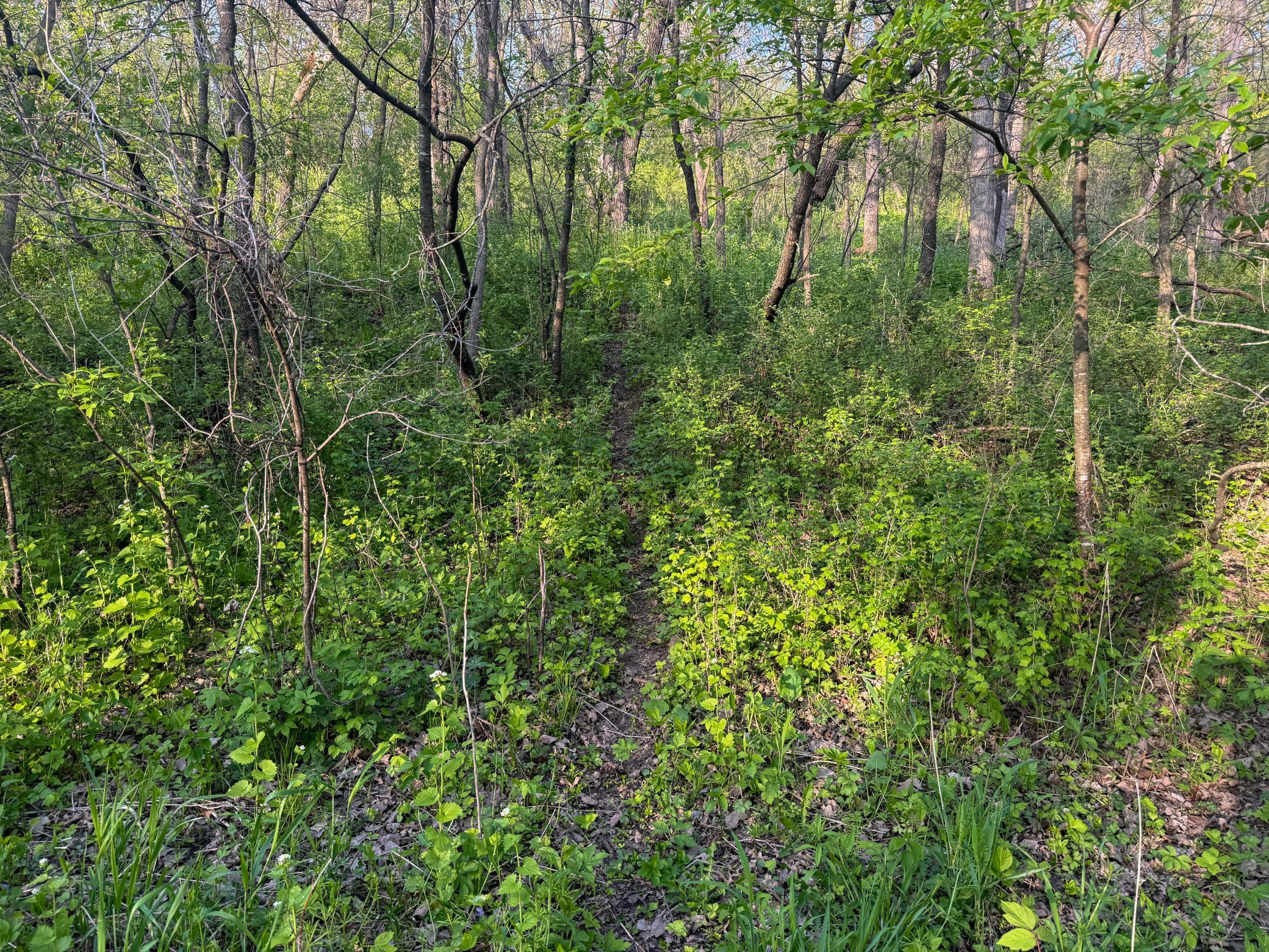 main property photo 85