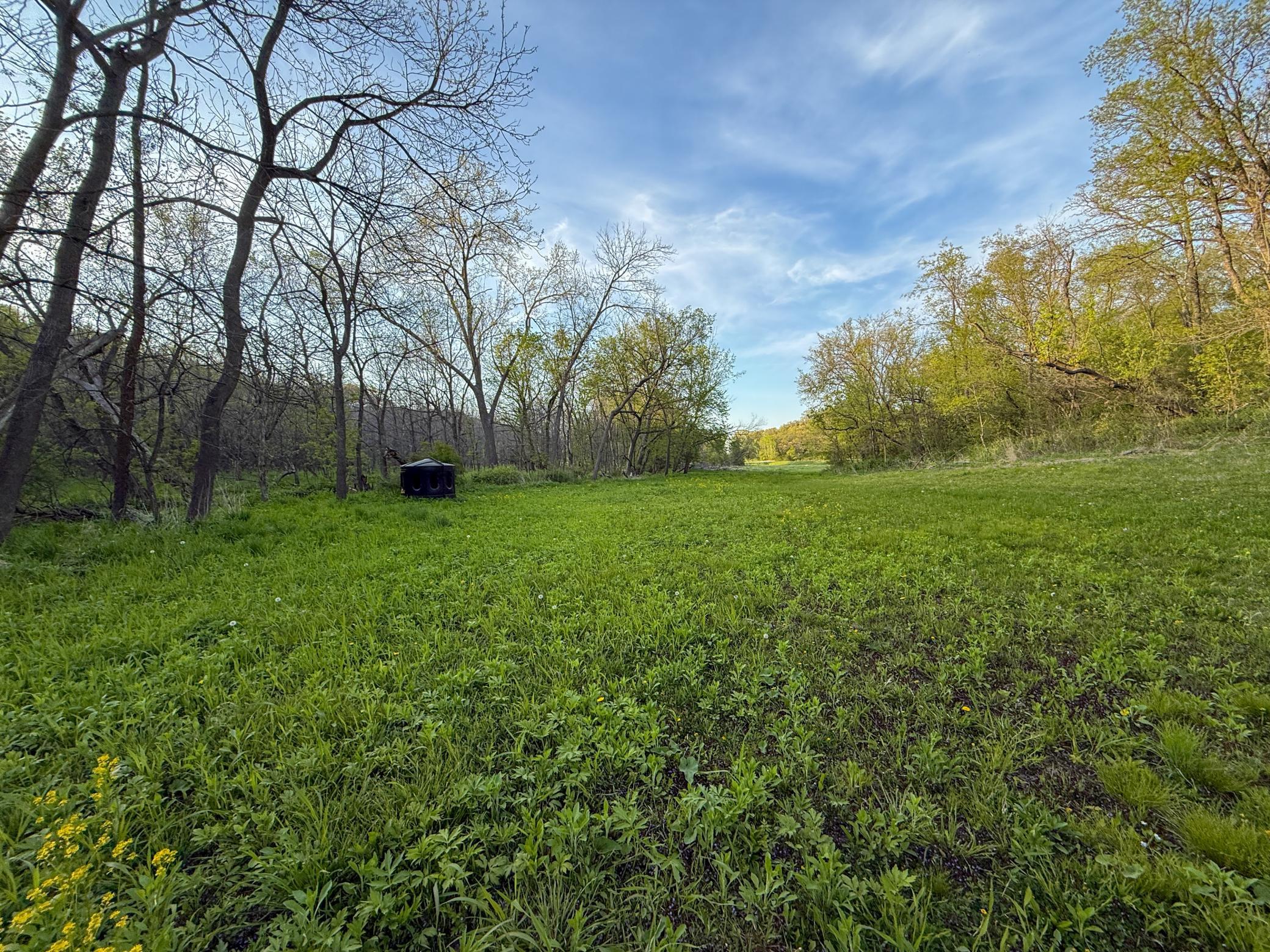 main property photo 87