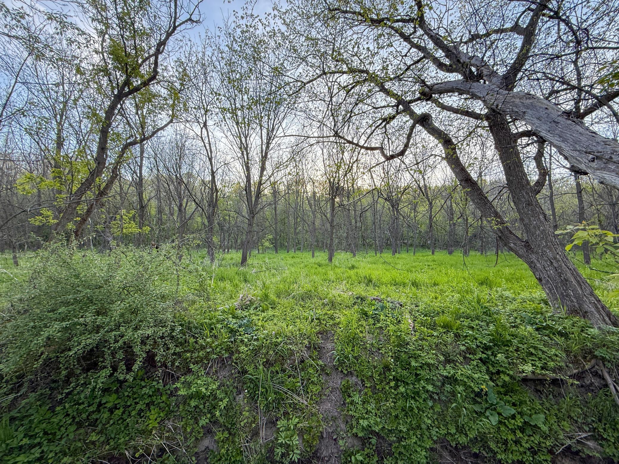 main property photo 89