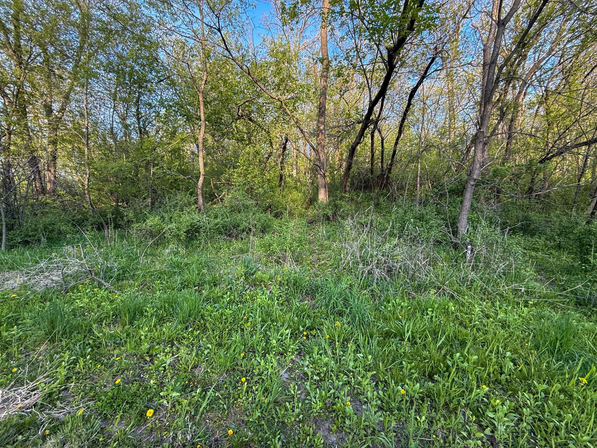 main property photo 90