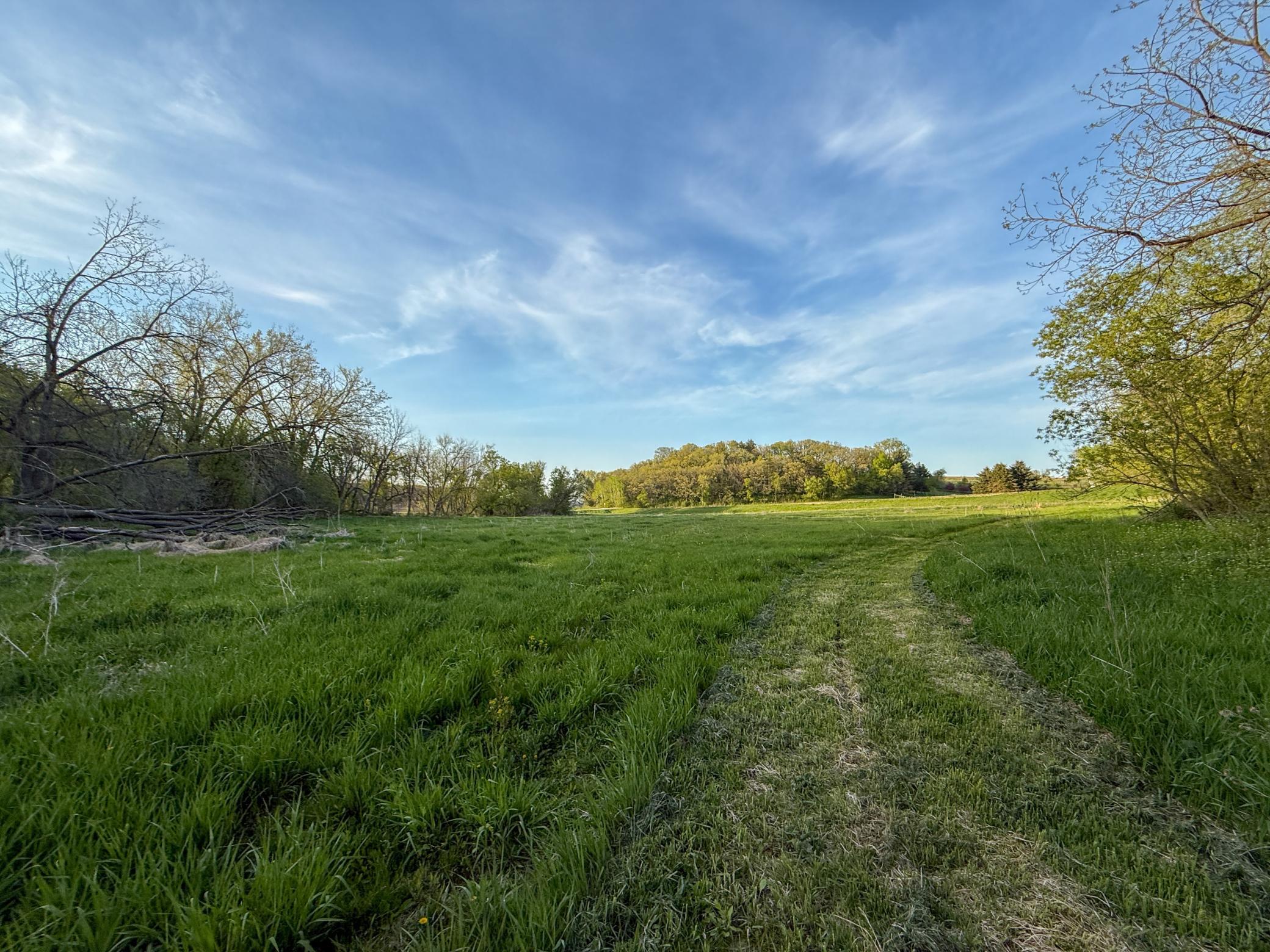 main property photo 92