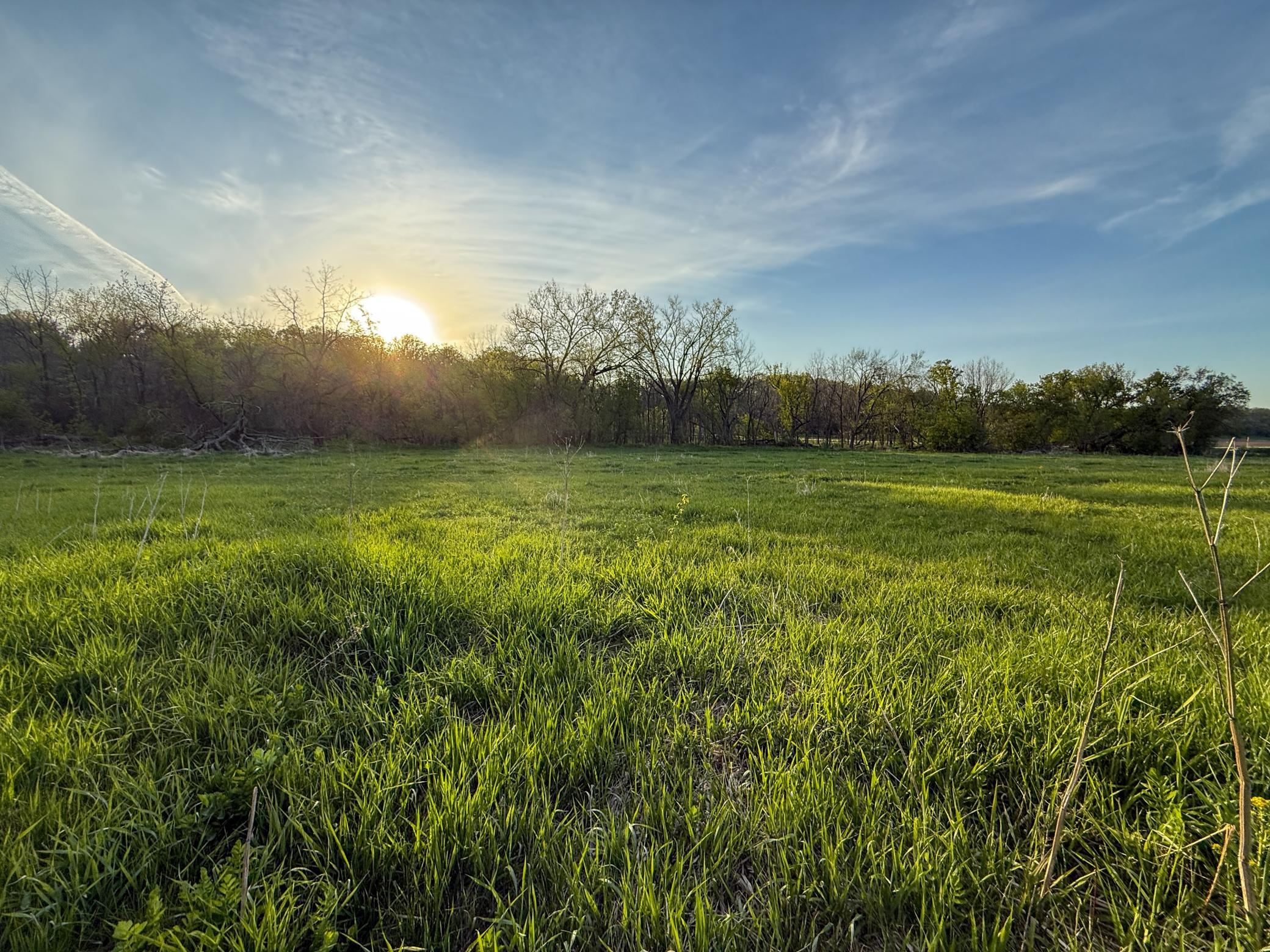 main property photo 93