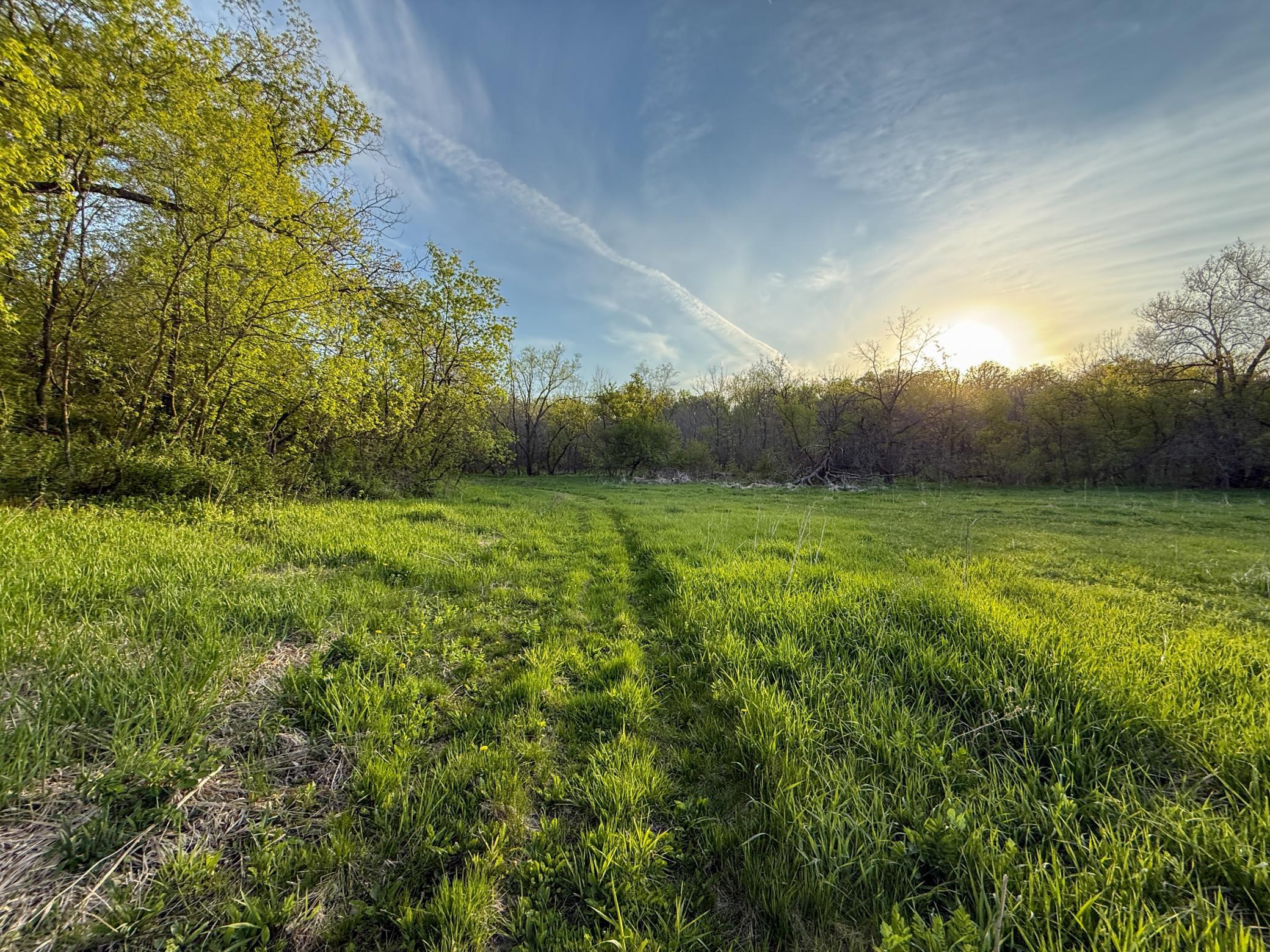 main property photo 94