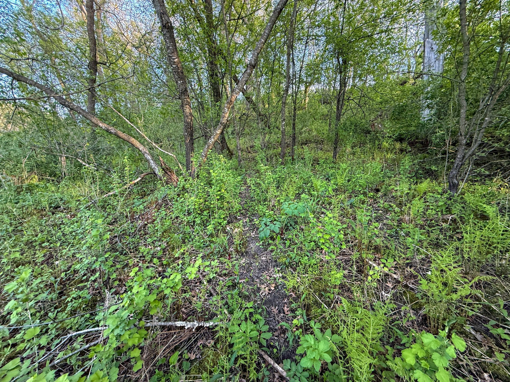 main property photo 95