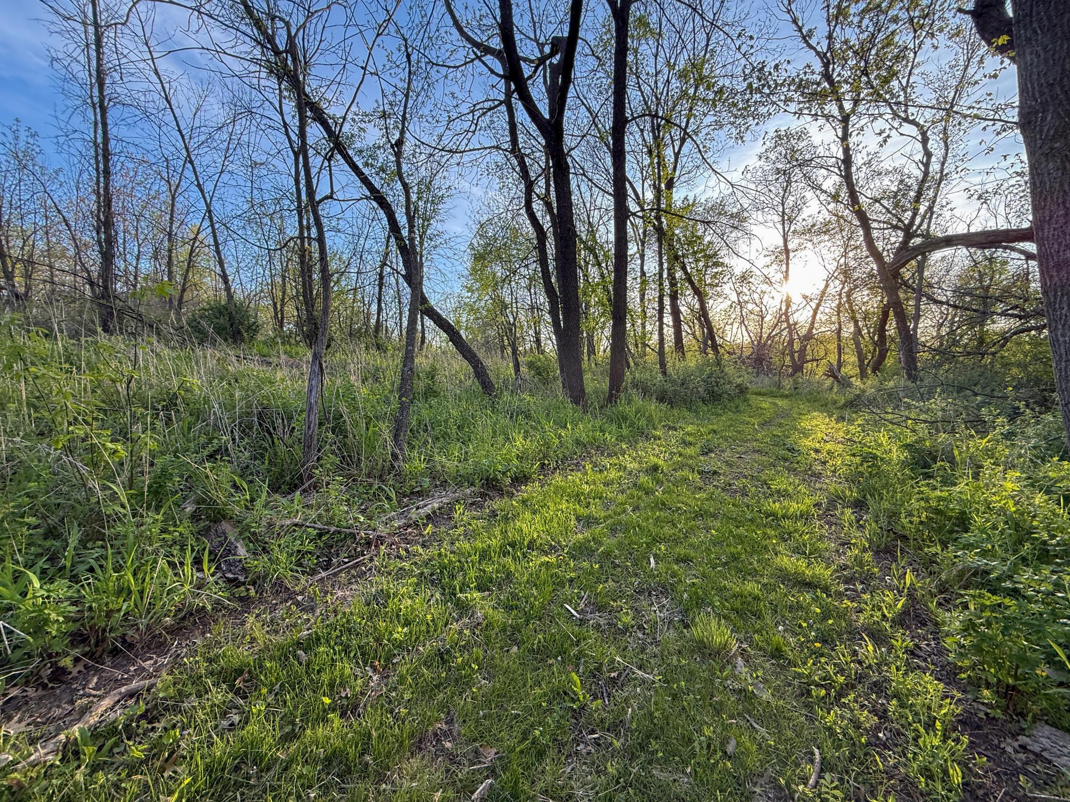 main property photo 96