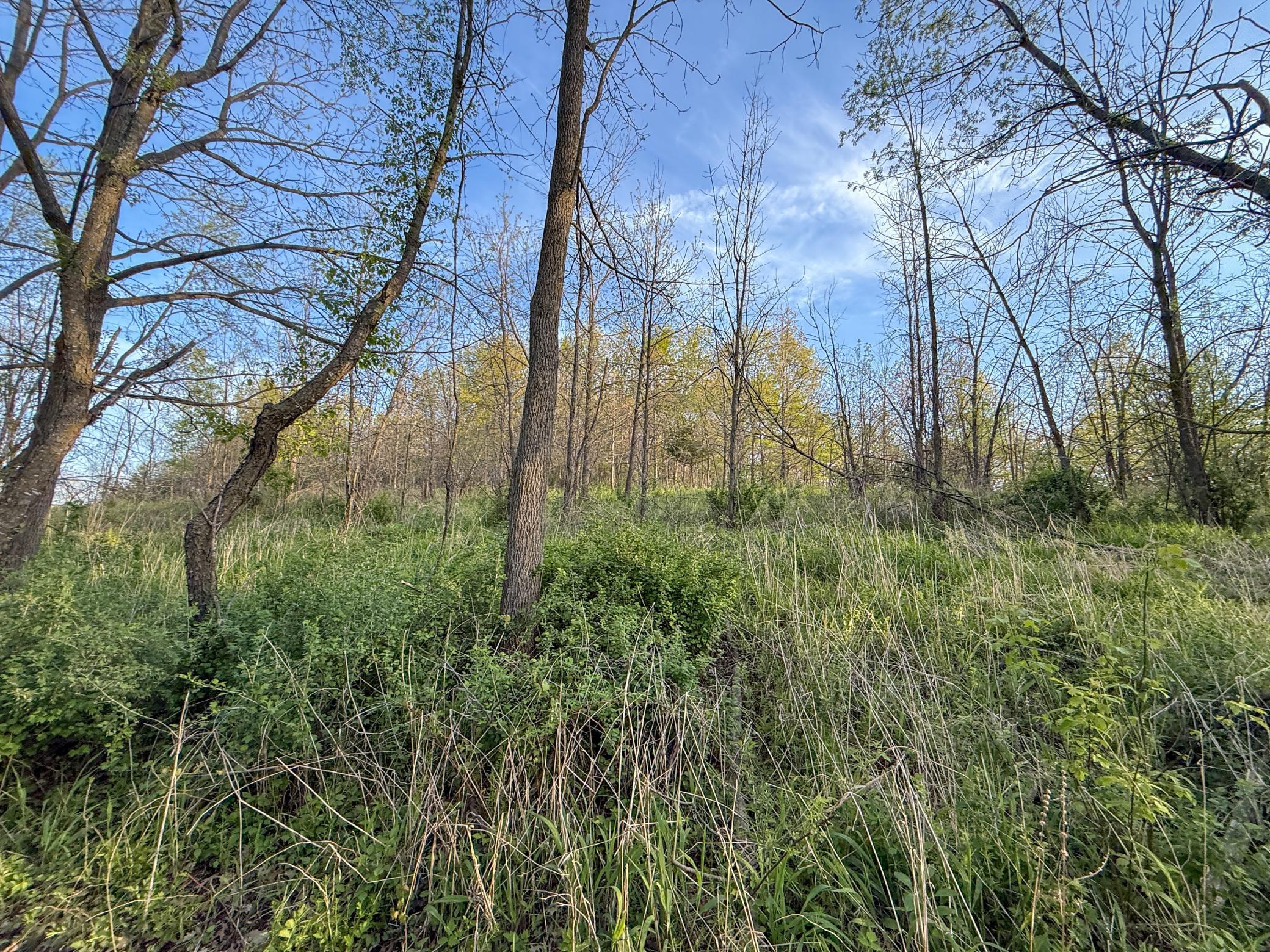 main property photo 97