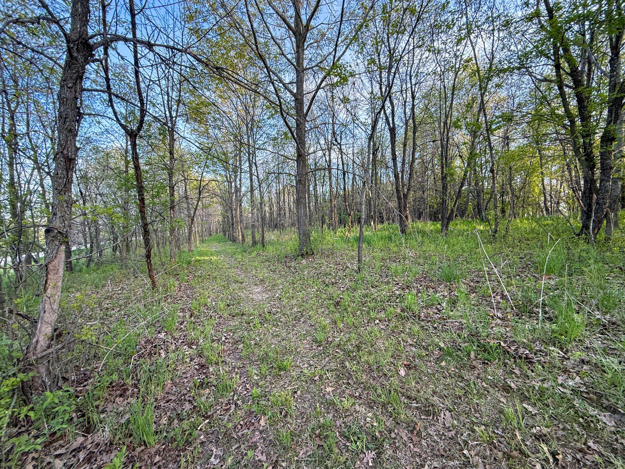 main property photo 99