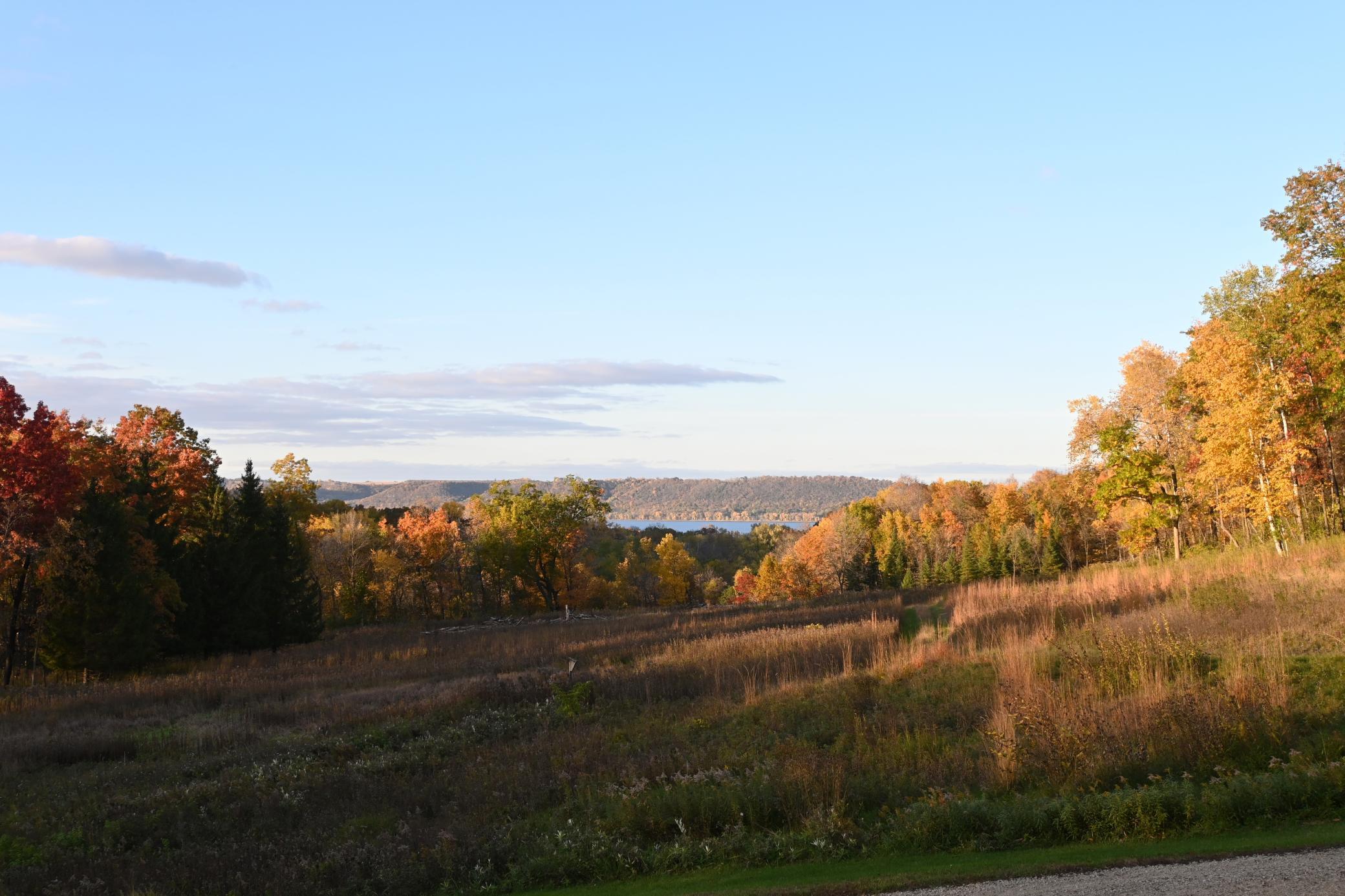 main property photo 115
