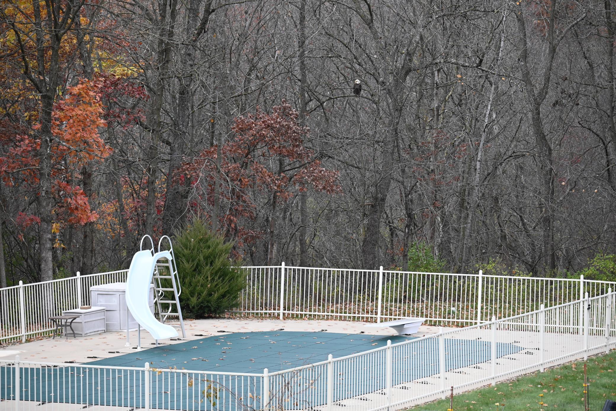 main property photo 117