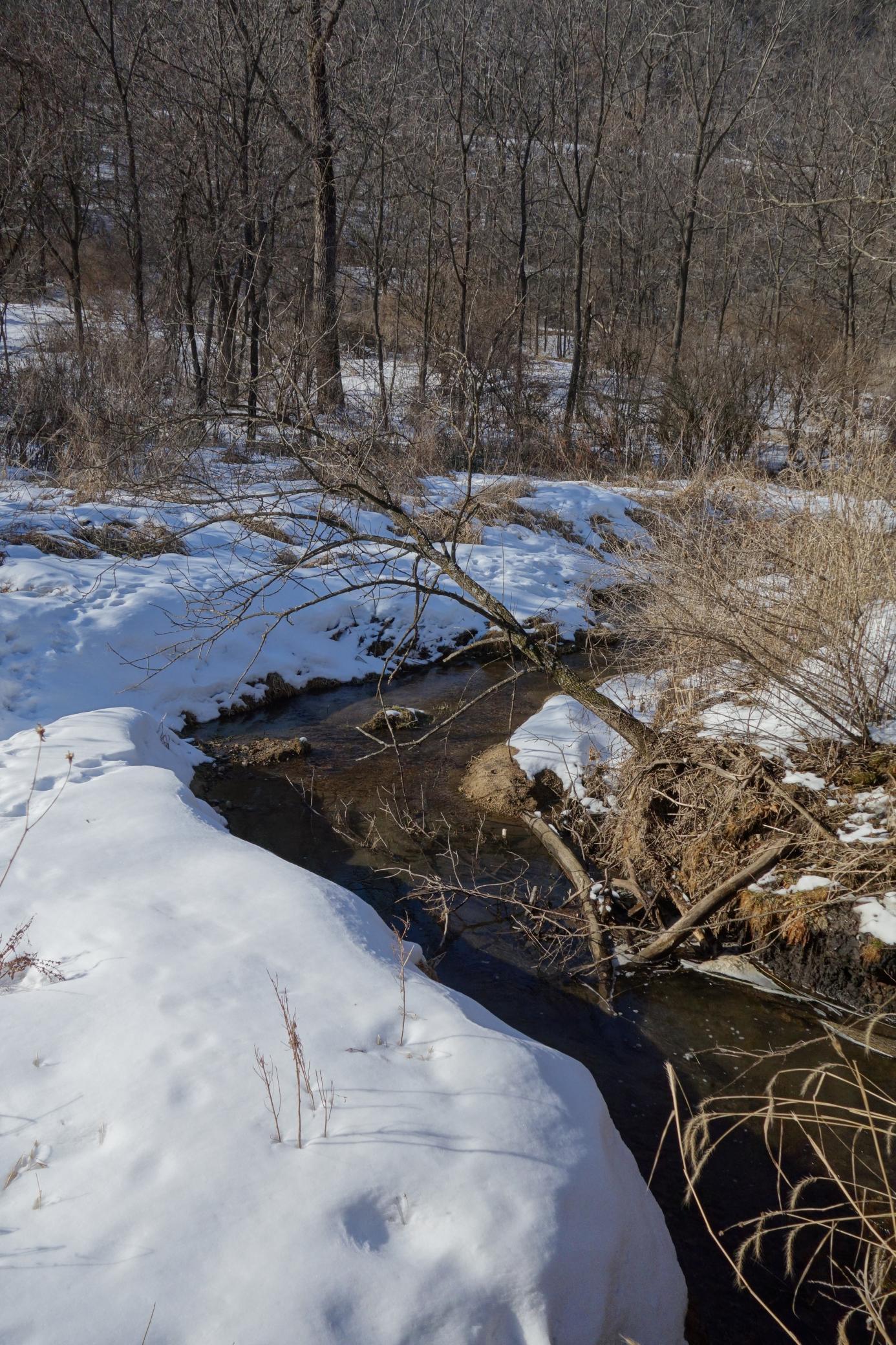 main property photo 122