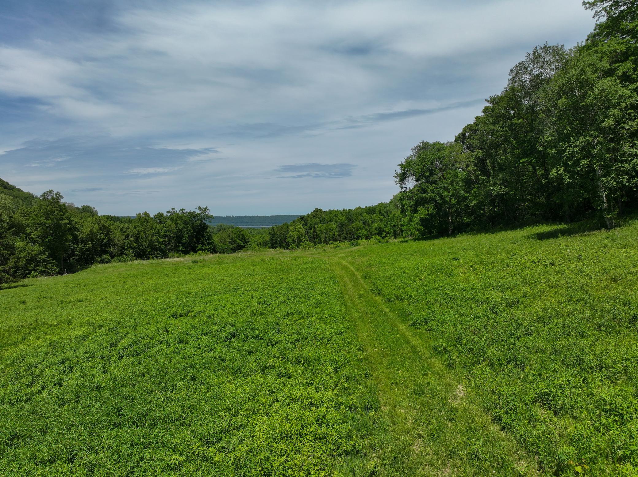 main property photo 84