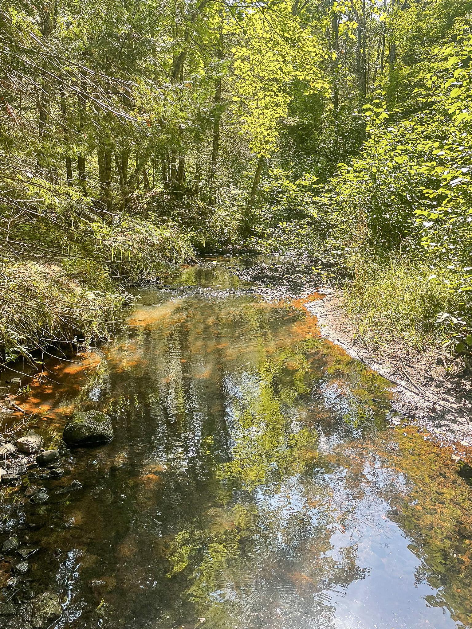 main property photo 24