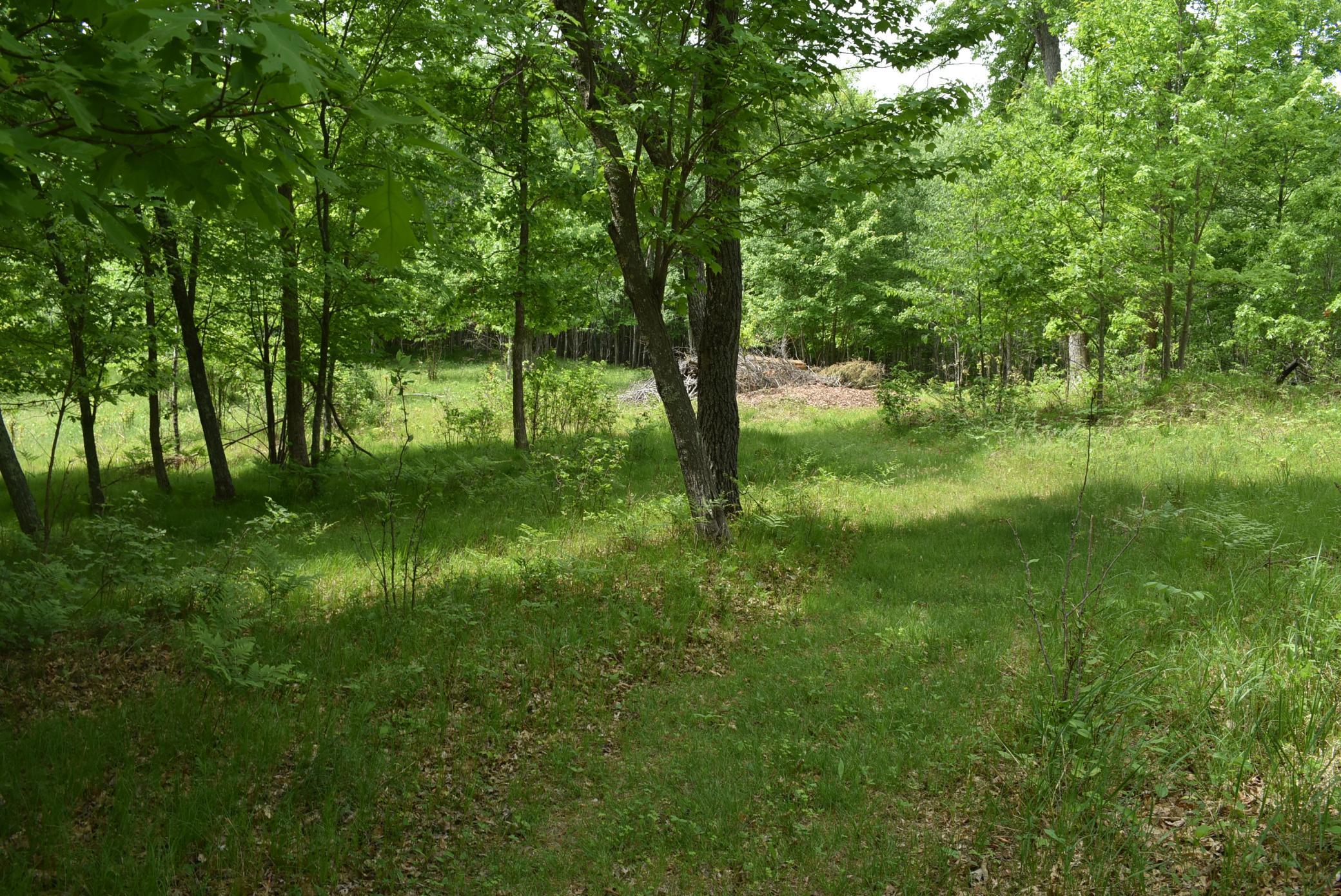 main property photo 55