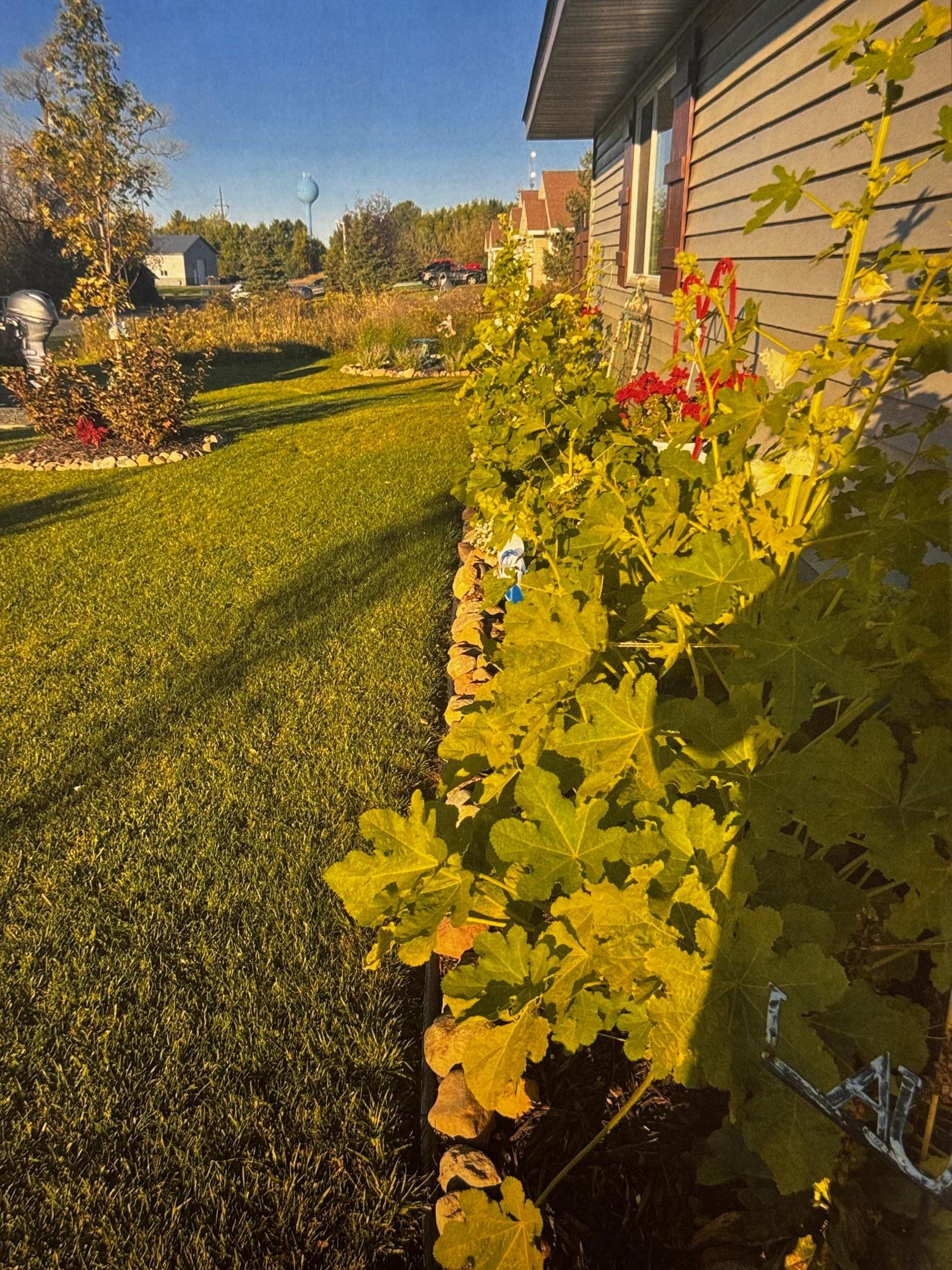 main property photo 48