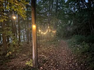 main property photo 60