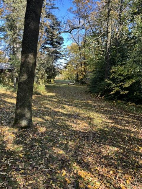 main property photo 58