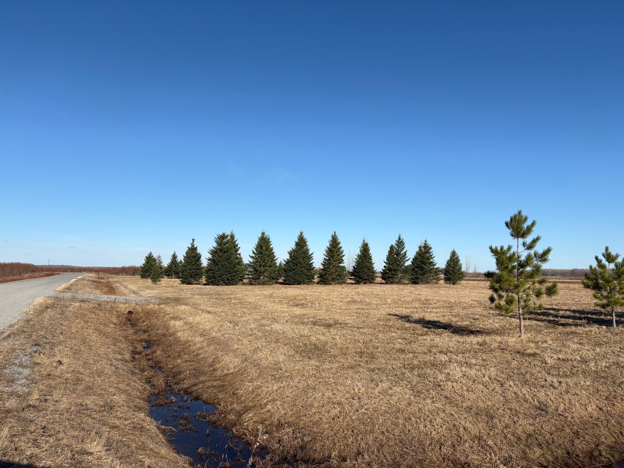 main property photo 11