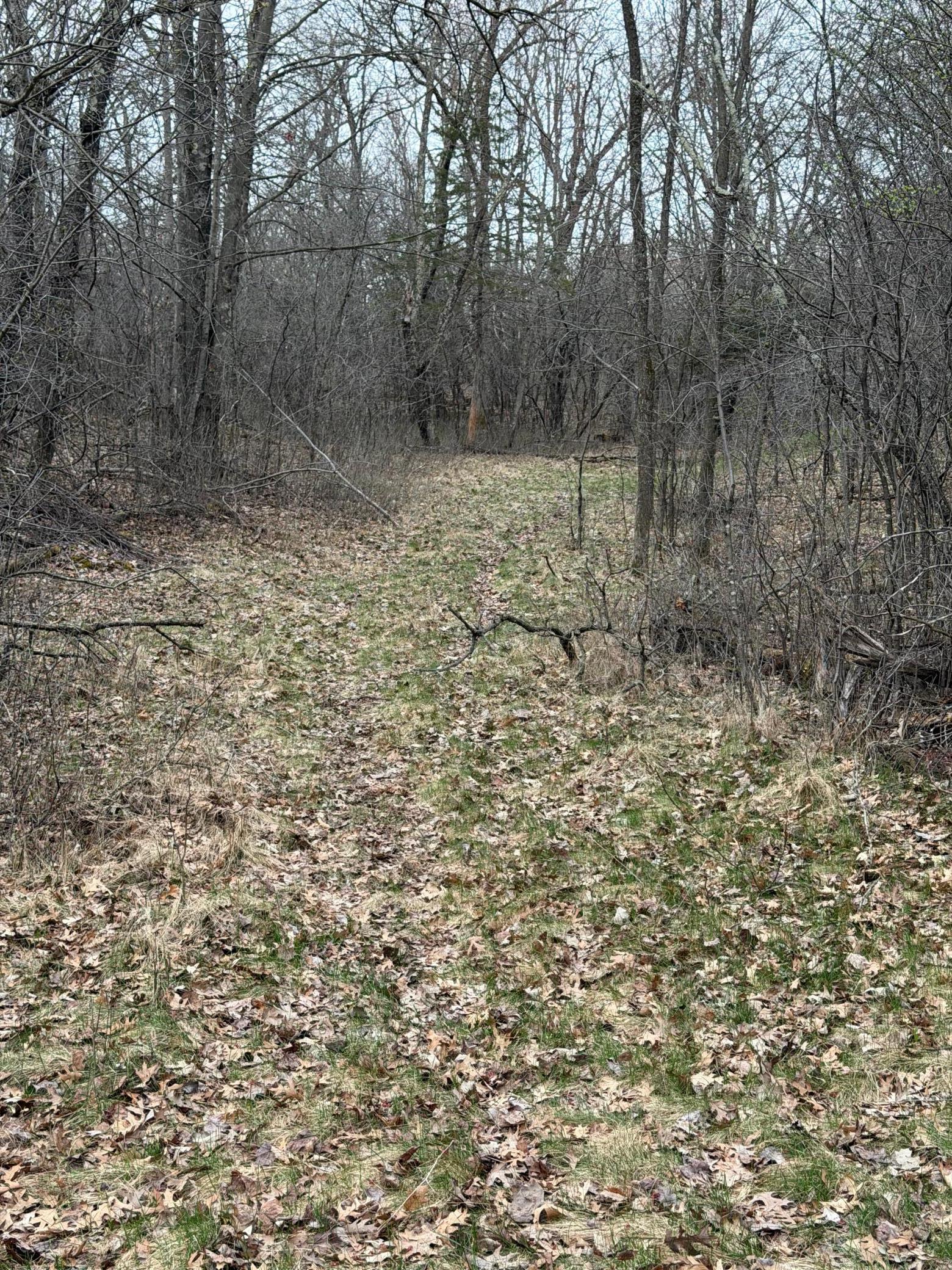 main property photo 11