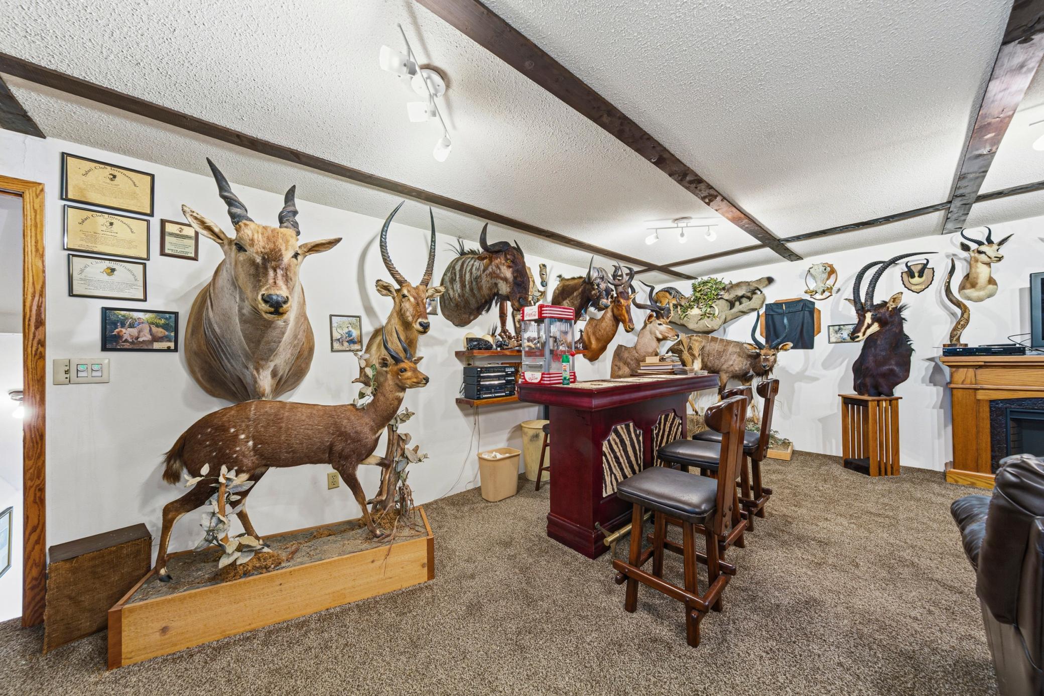 main property photo 59
