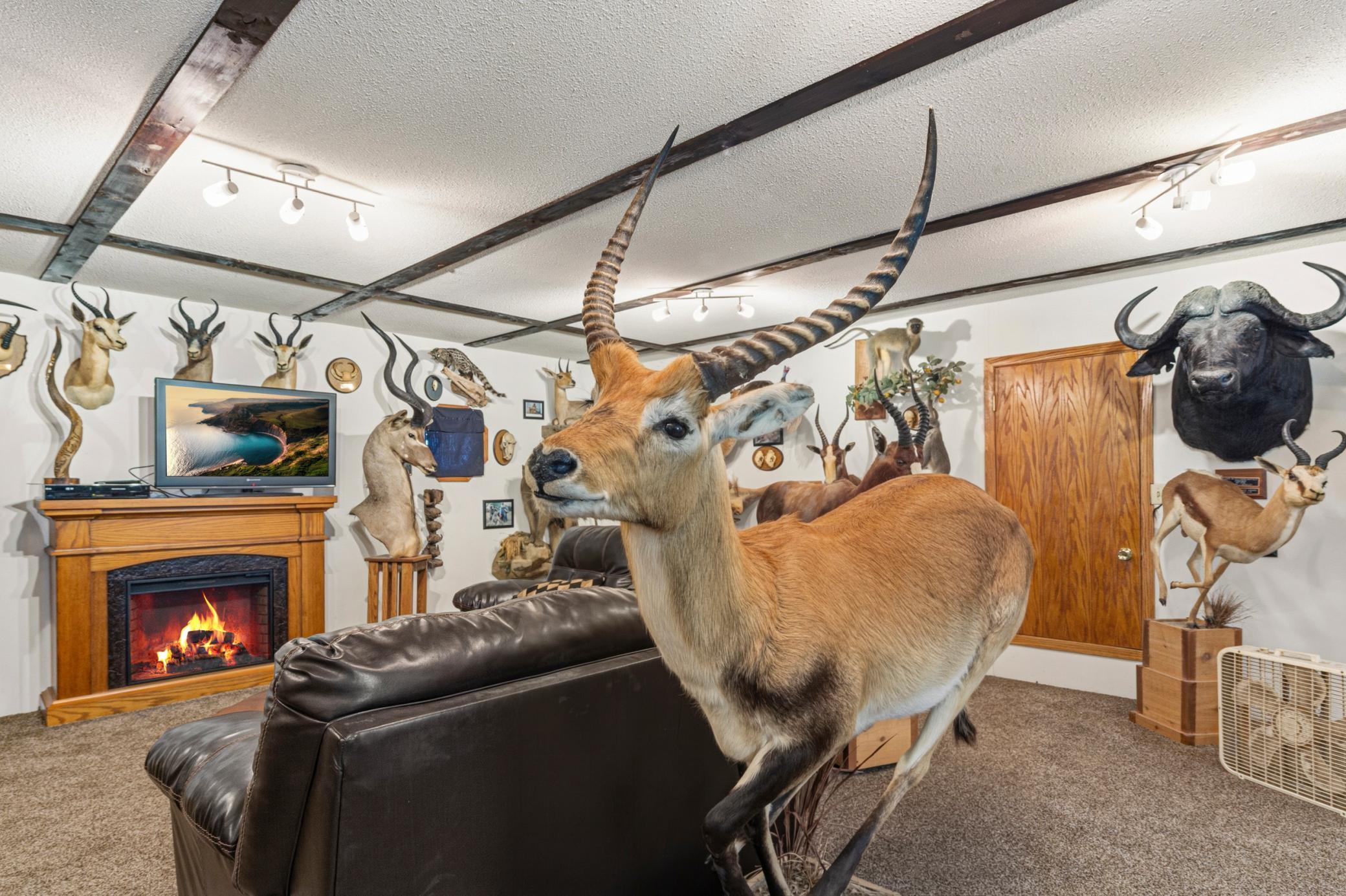 main property photo 60