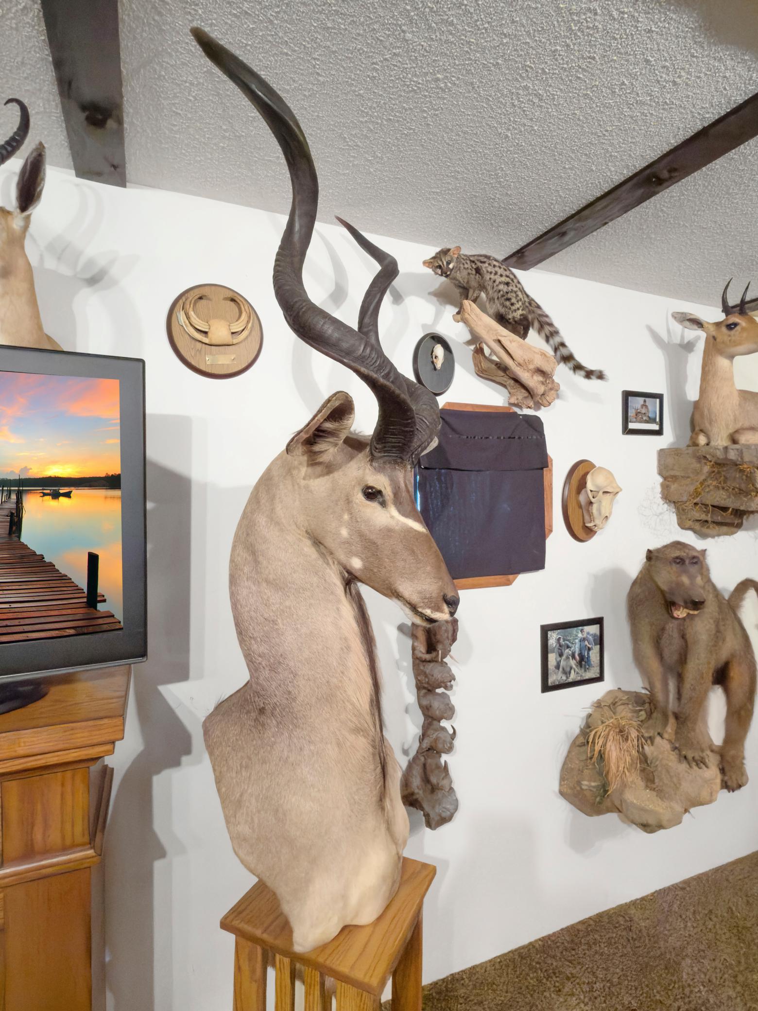 main property photo 81