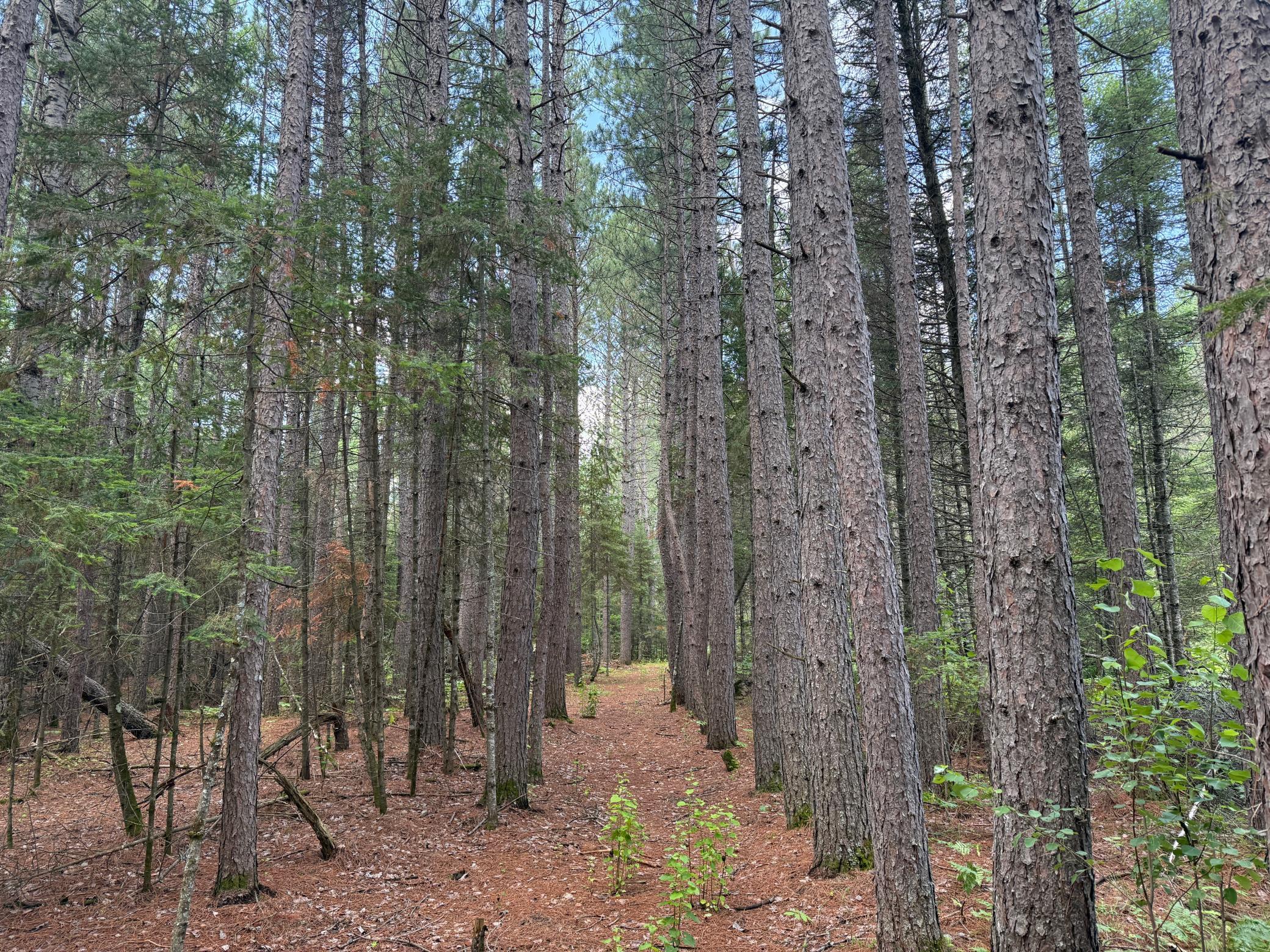 main property photo 82