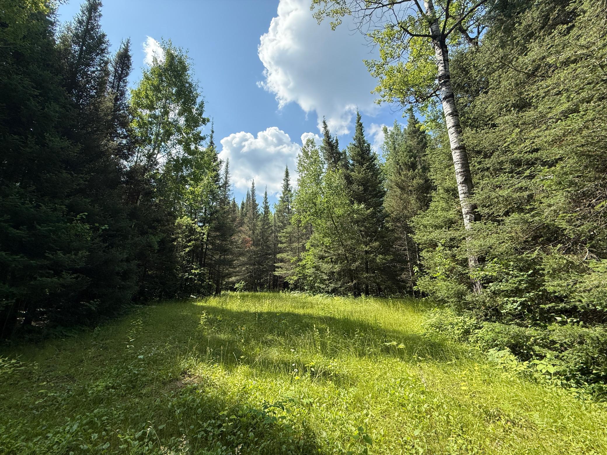 main property photo 92