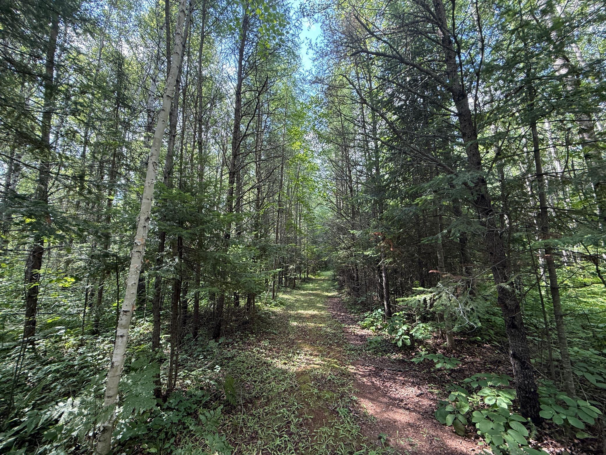 main property photo 96