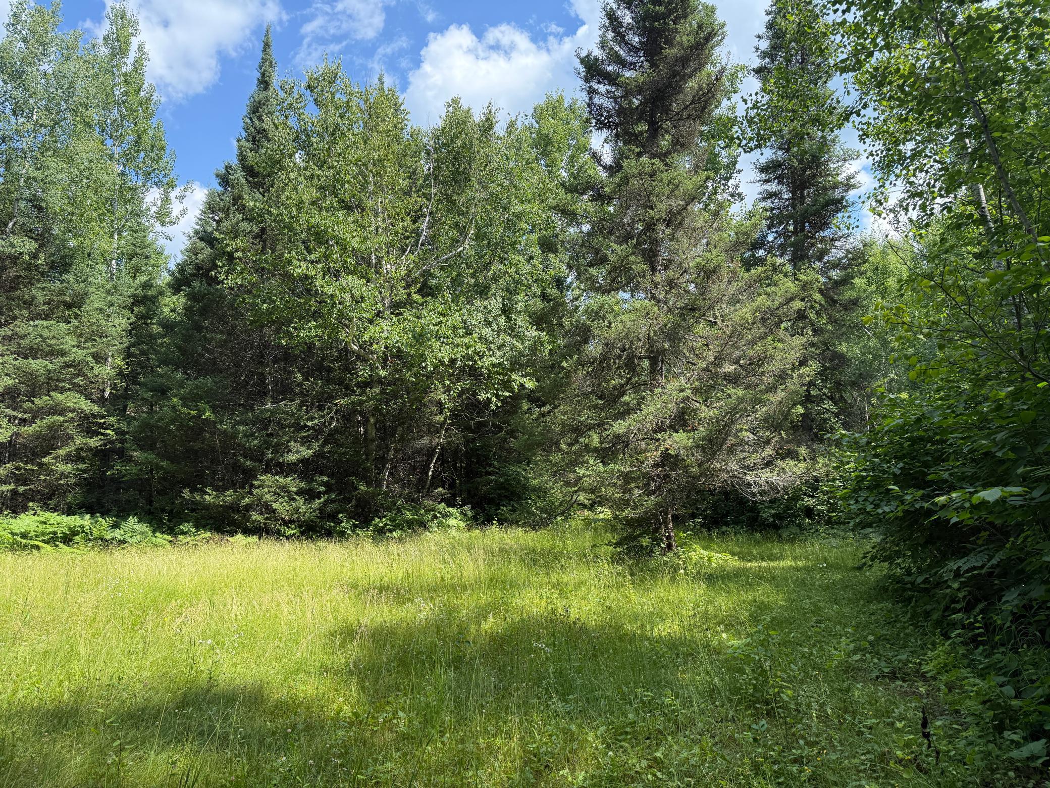 main property photo 97