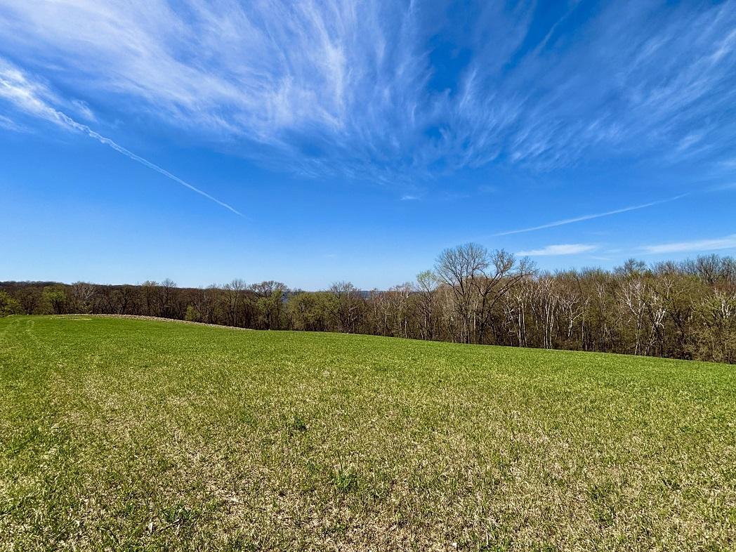 main property photo 41