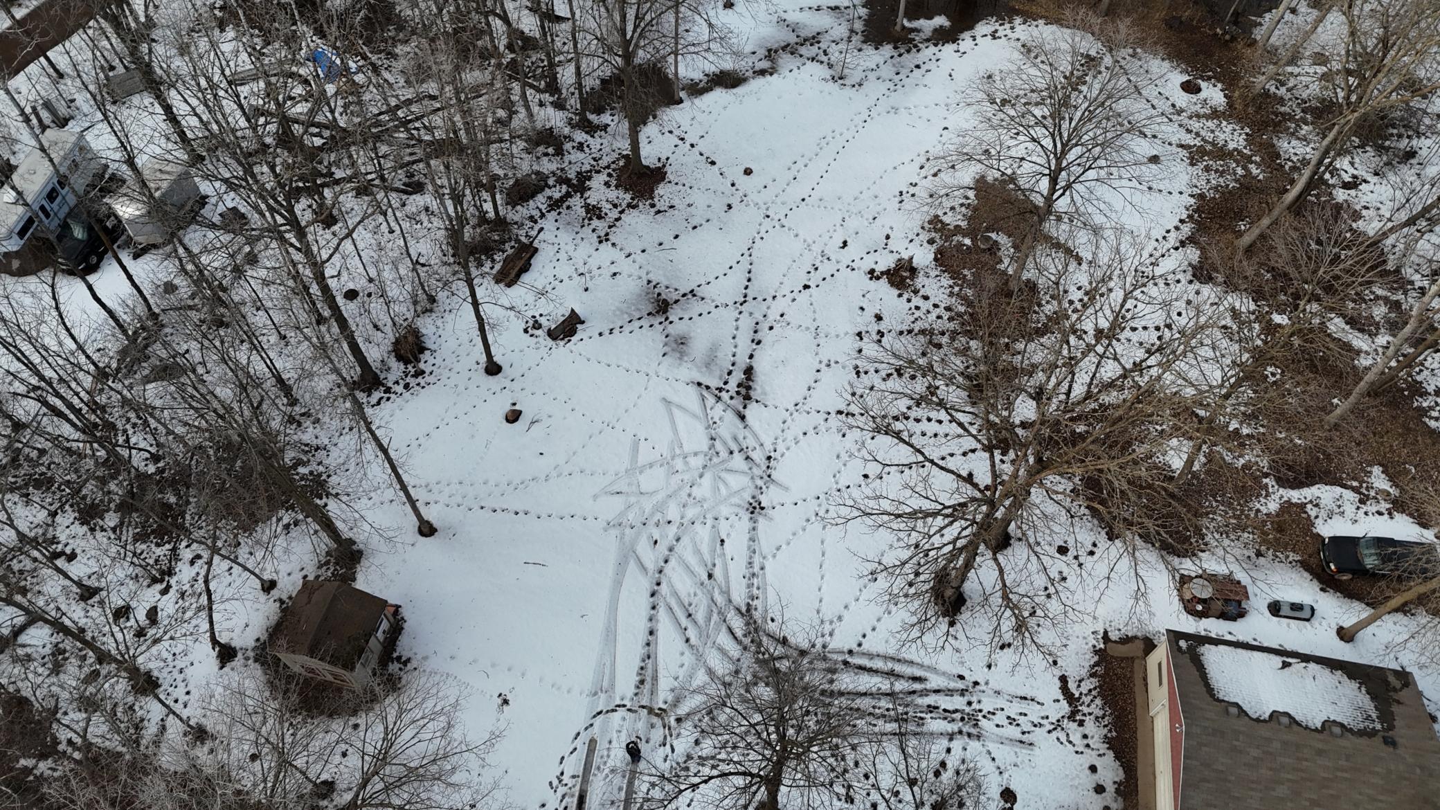 main property photo 42