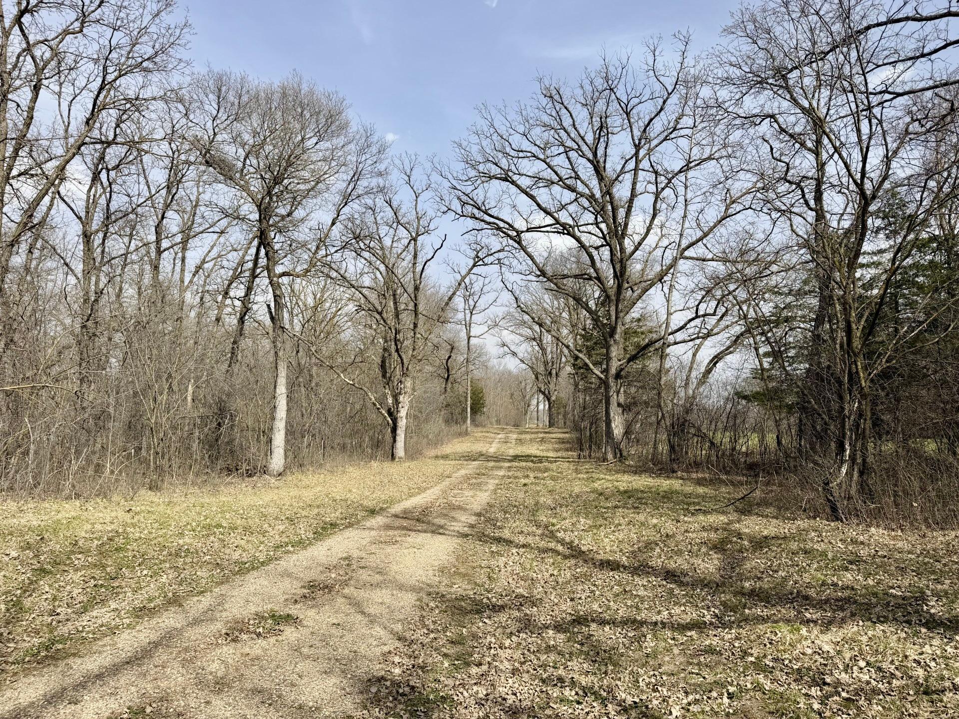 main property photo 8