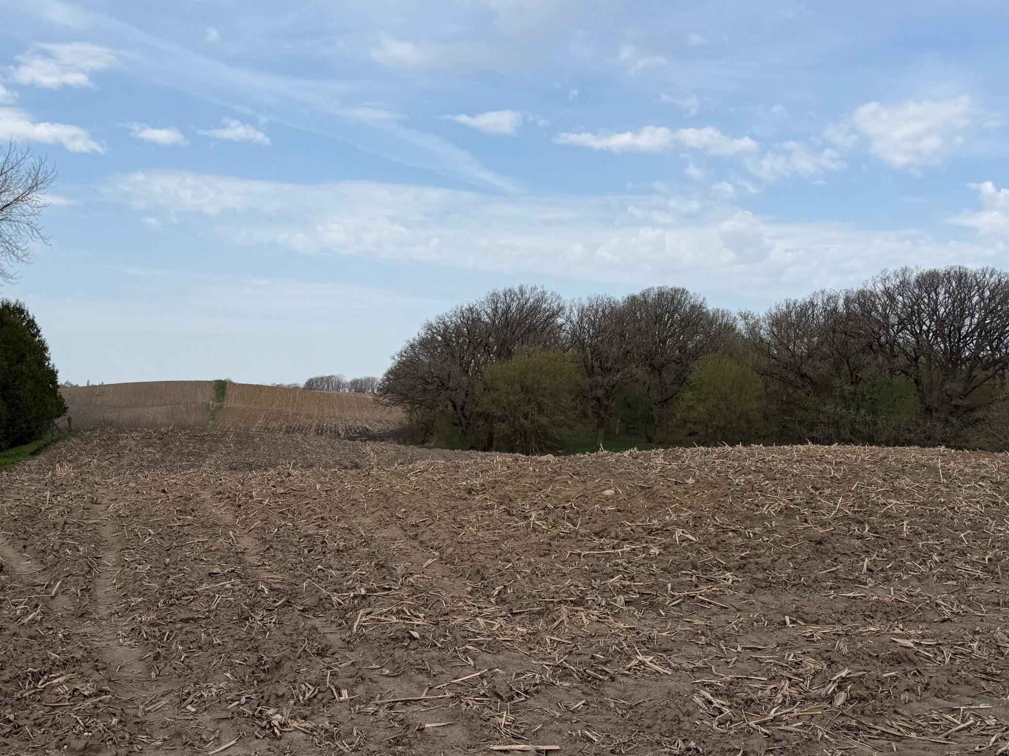 main property photo 21