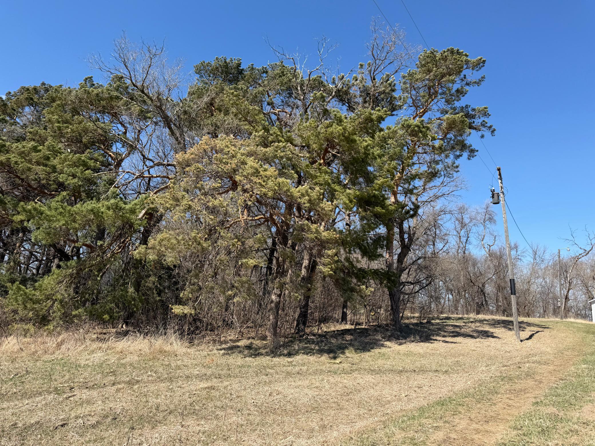 main property photo 14