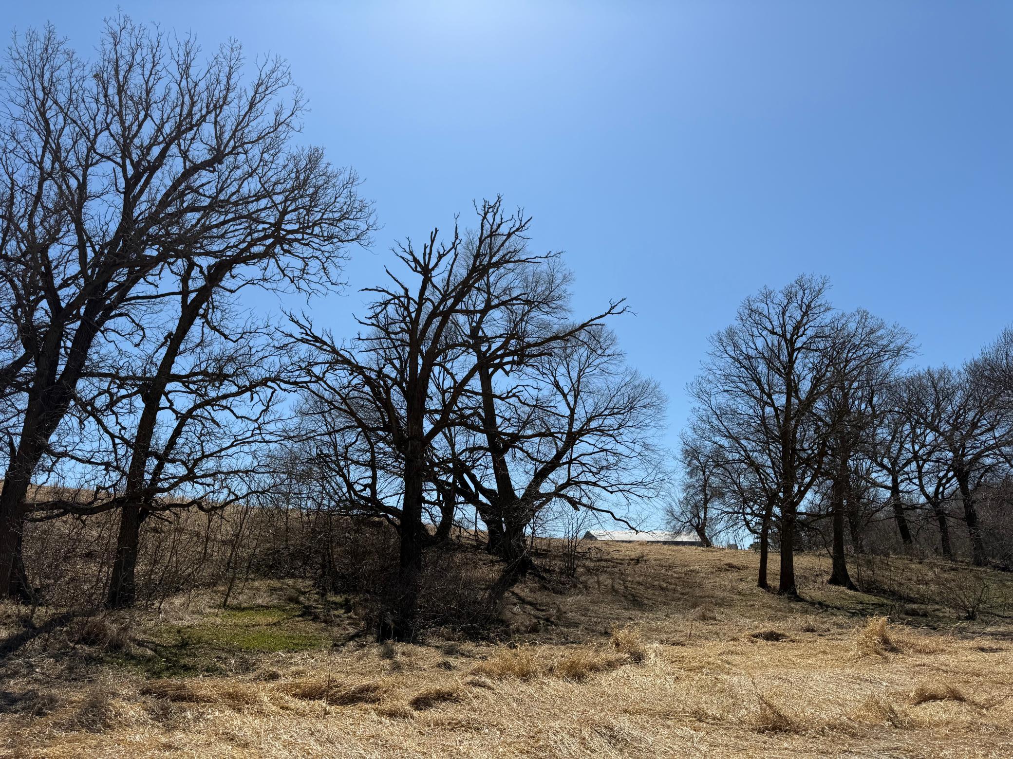 main property photo 36