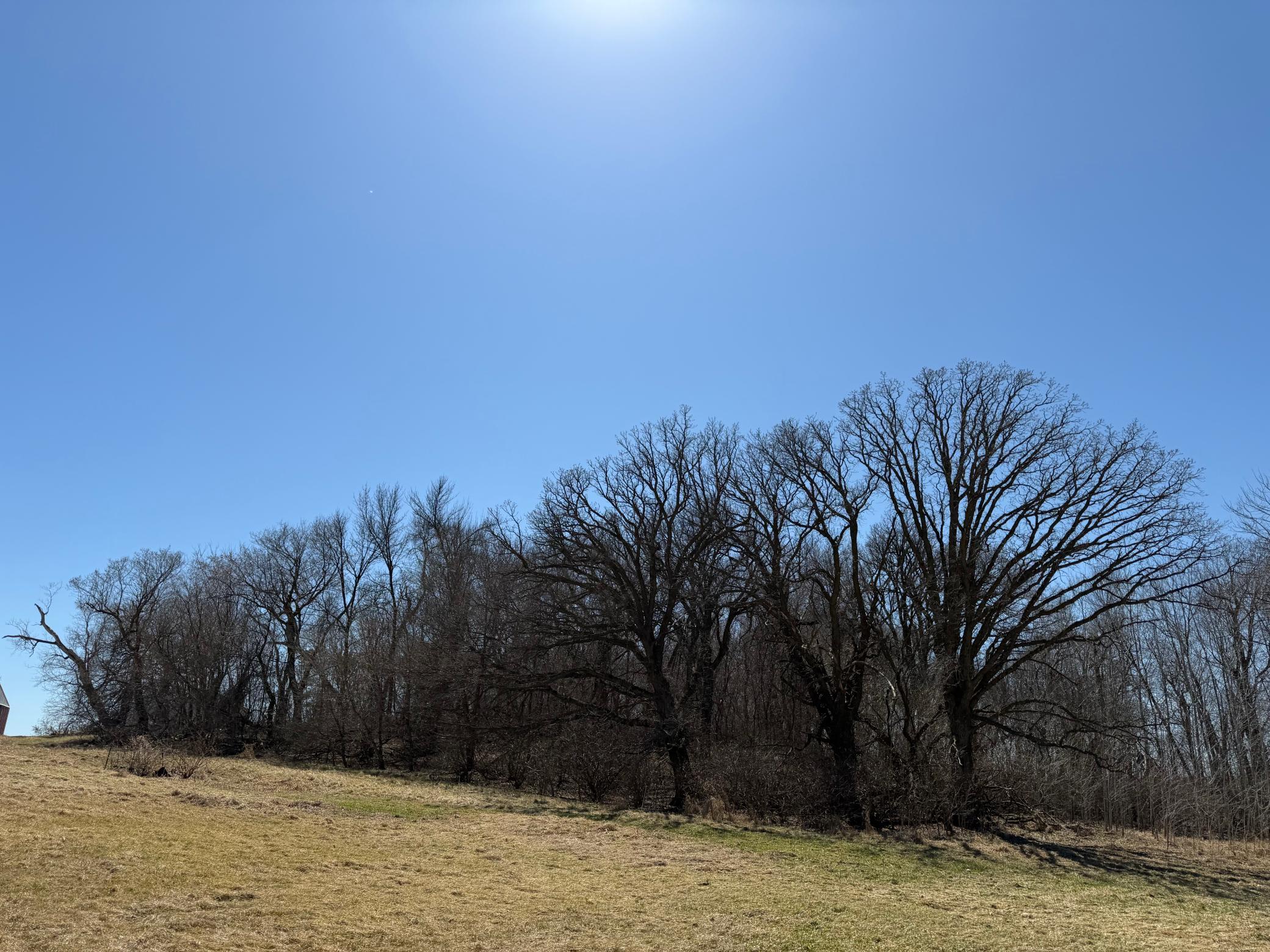 main property photo 40