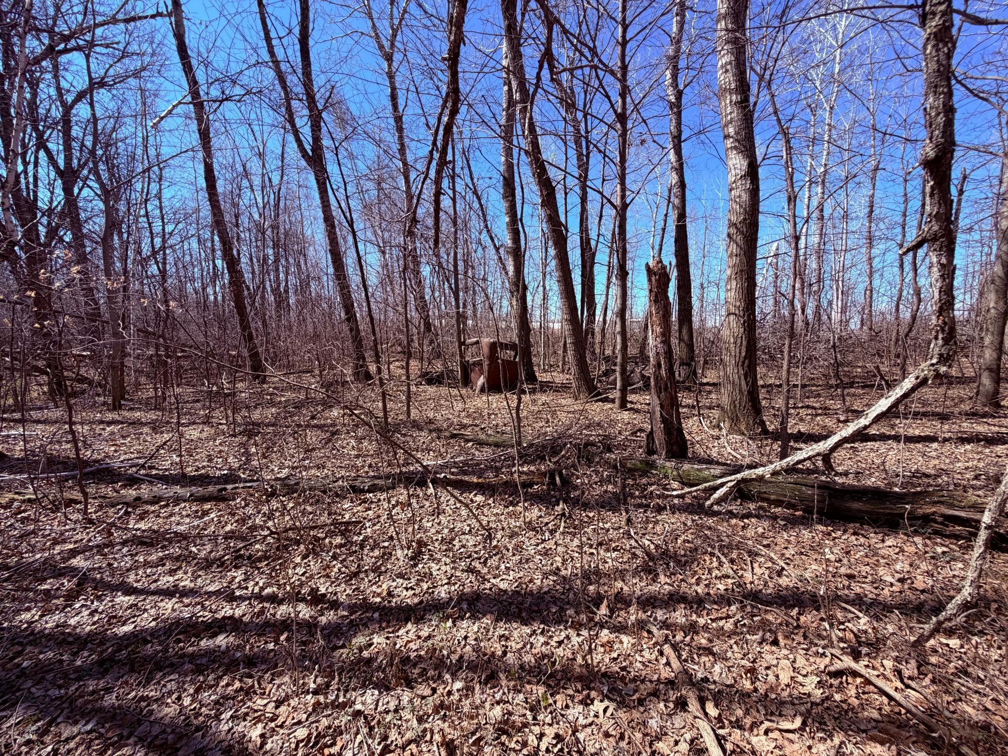 main property photo 38