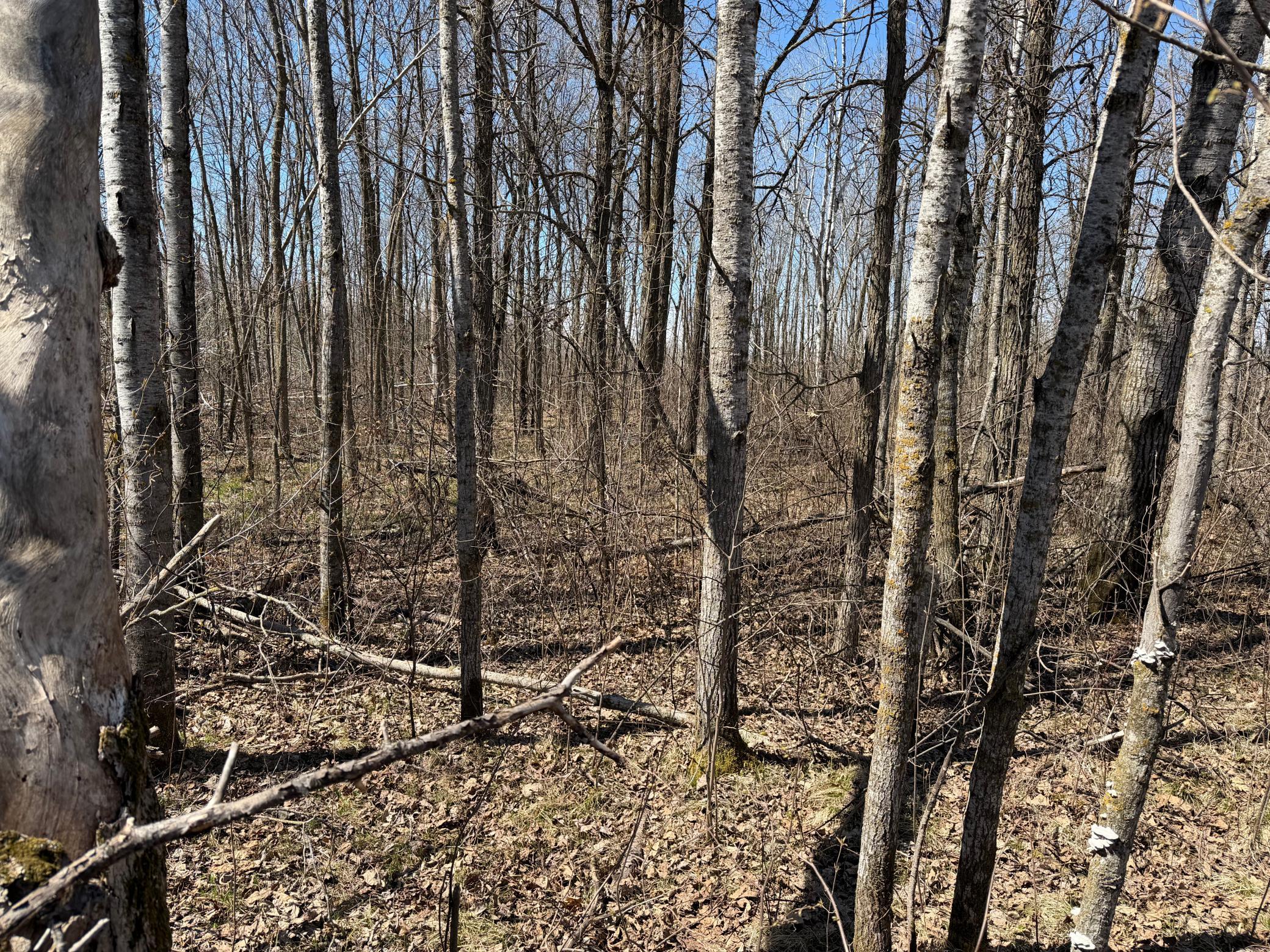 main property photo 52